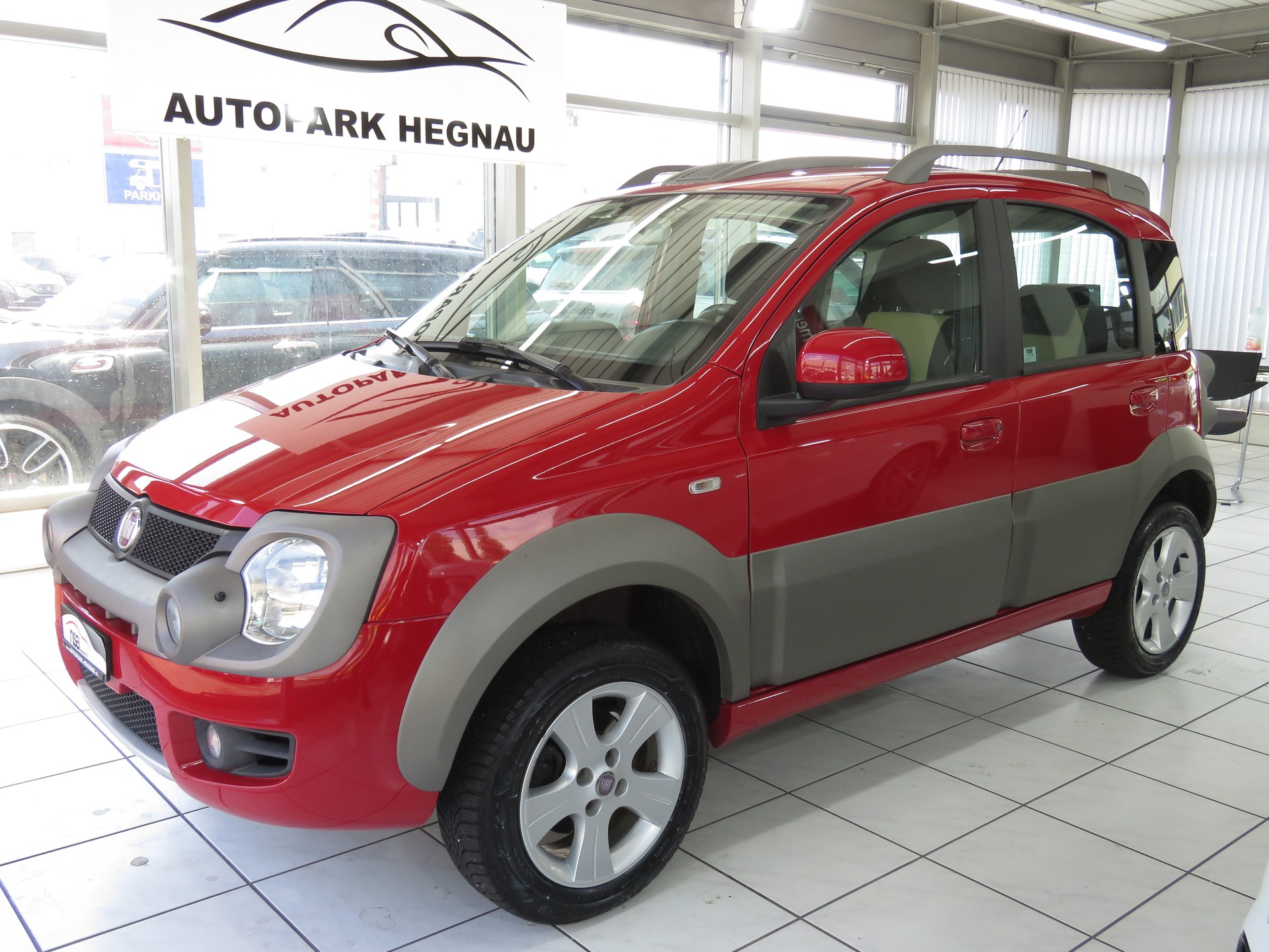 FIAT Panda 1.3 16V JTD Cross 4x4-image-0