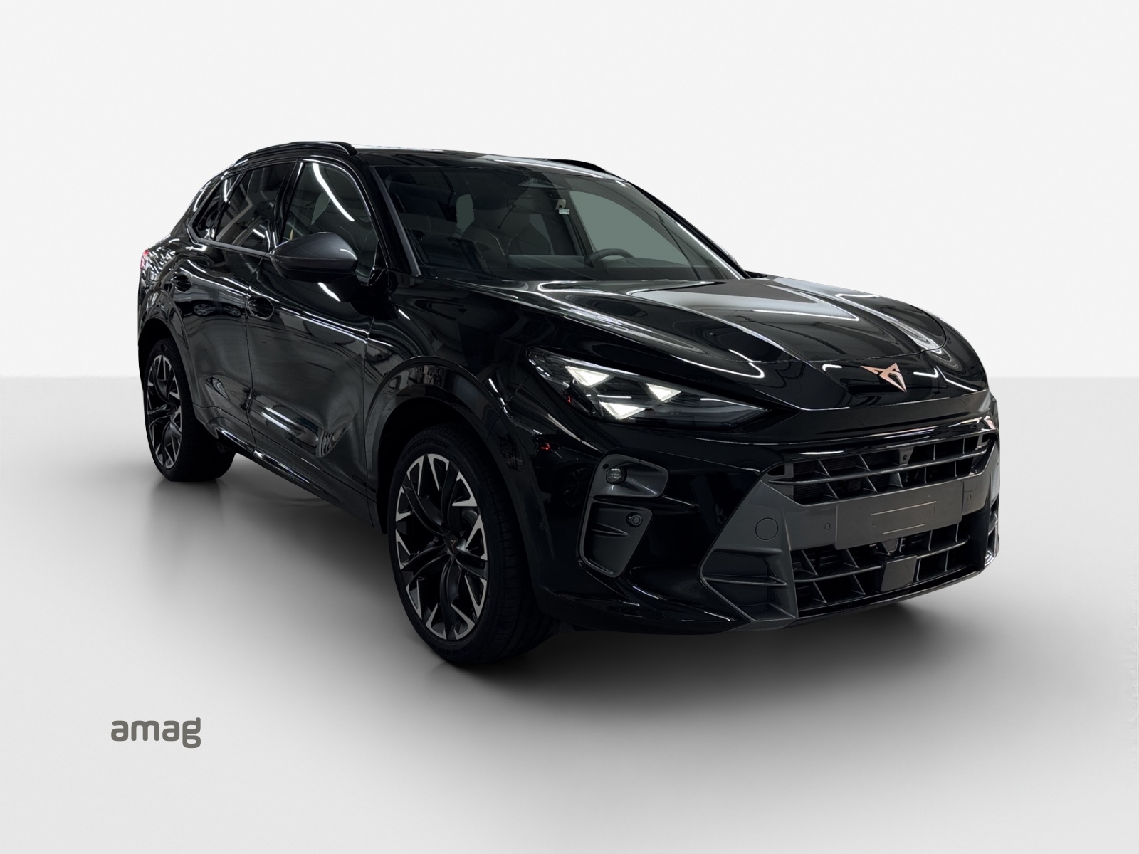 CUPRA Terramar 2.0 TSI Prime Edition DSG 4Drive-image-5