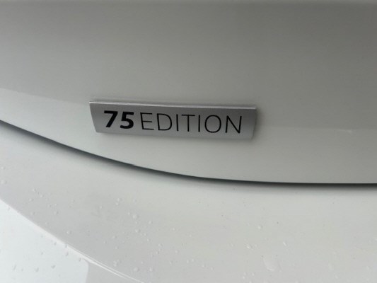 VW Polo 2.0 TSI GTI 75 Ed-image-4