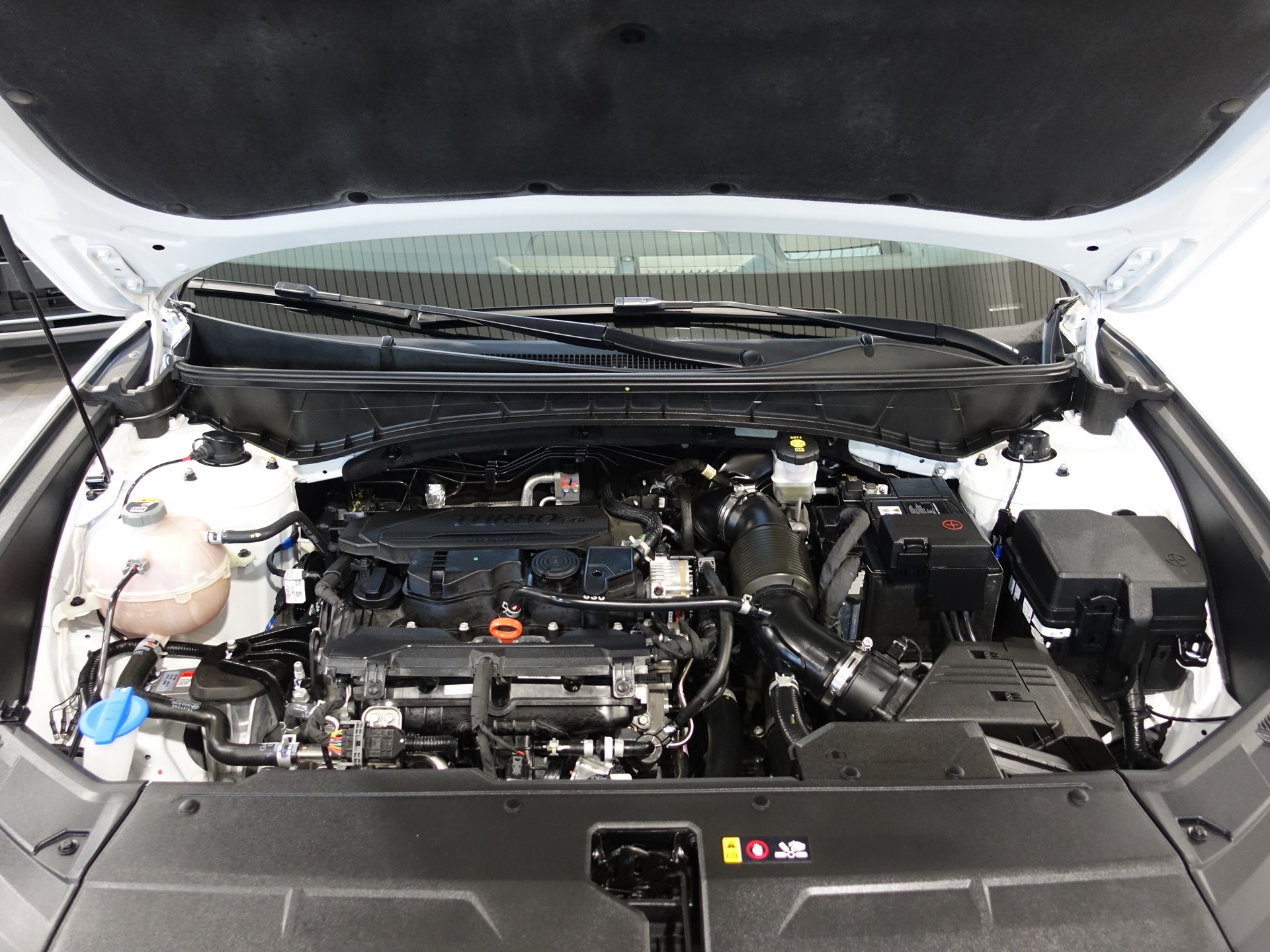 HYUNDAI Tucson 1.6 48V Vertex 4WD Glasschiebedach-image-6