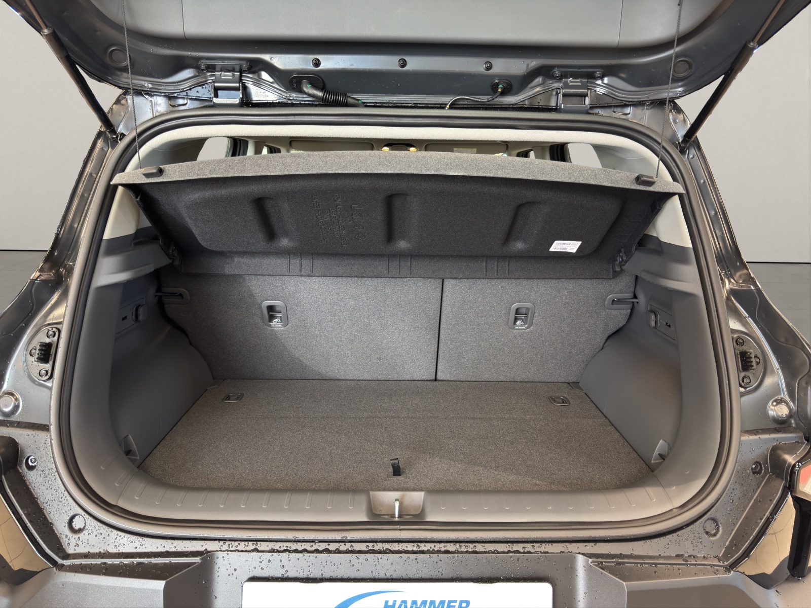 KIA EV2 42.2 kWh Air-image-15