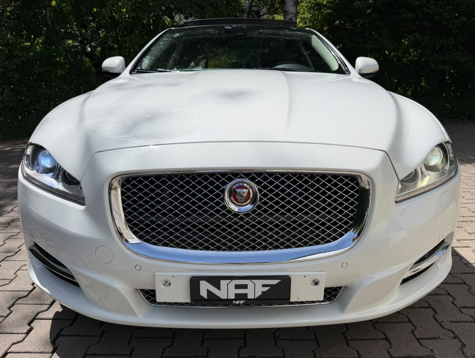 JAGUAR XJ 3.0d V6 Premium Luxury Automatic-image-7