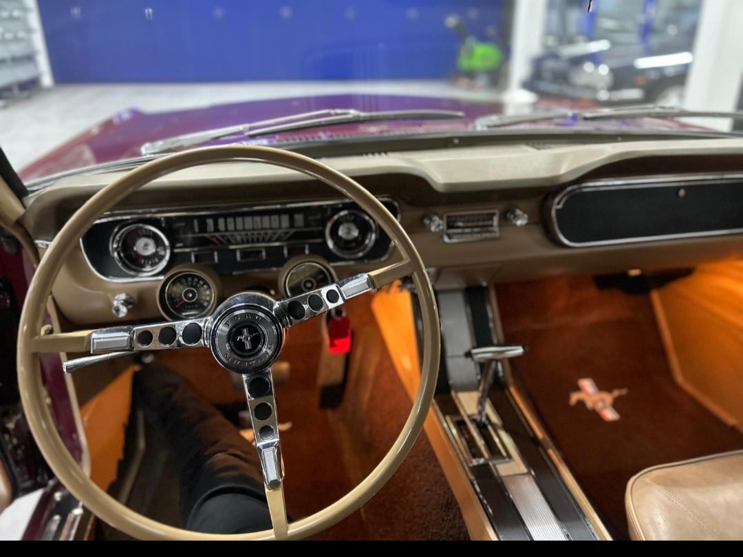 FORD Fastback-image-6