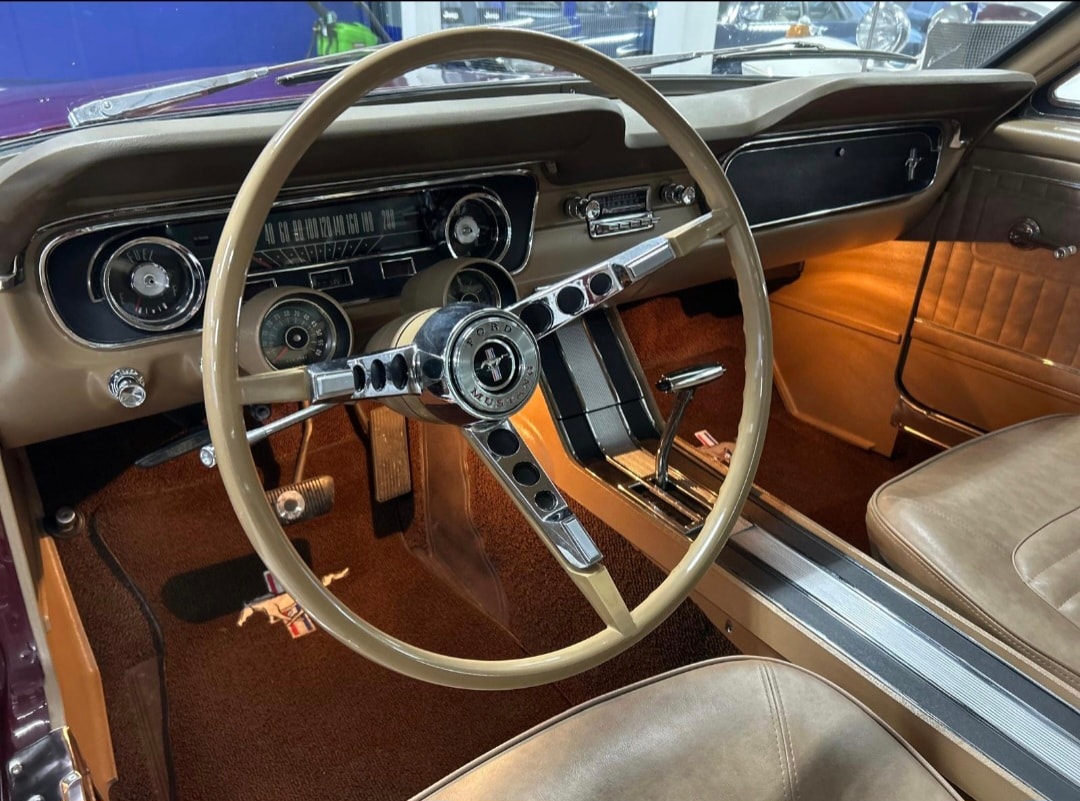 FORD Fastback-image-7