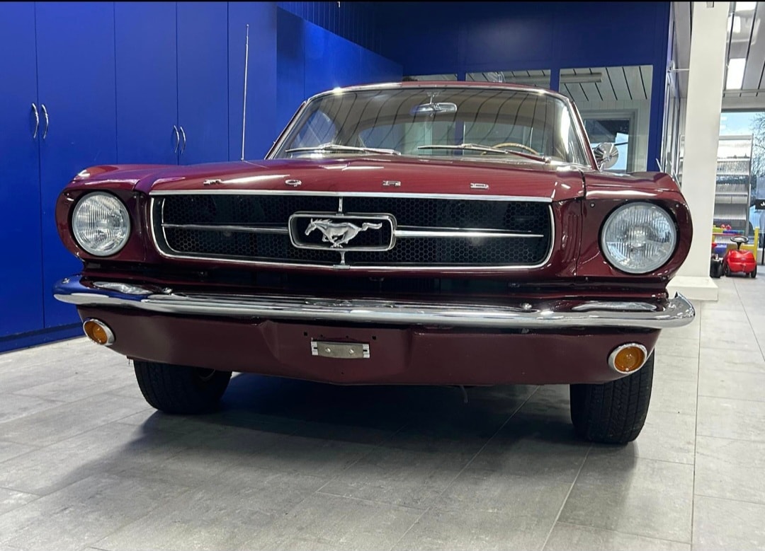 FORD Fastback-image-1