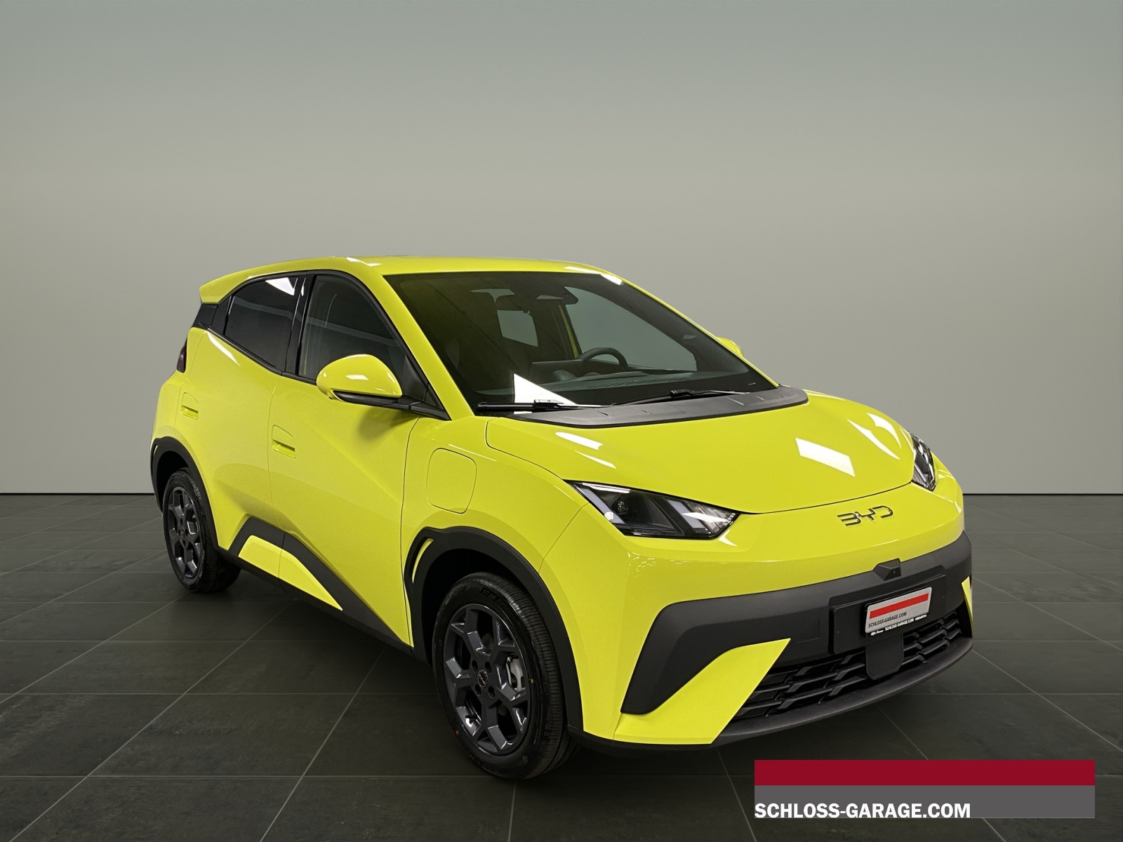 BYD Dolphin Surf Comfort-image-8