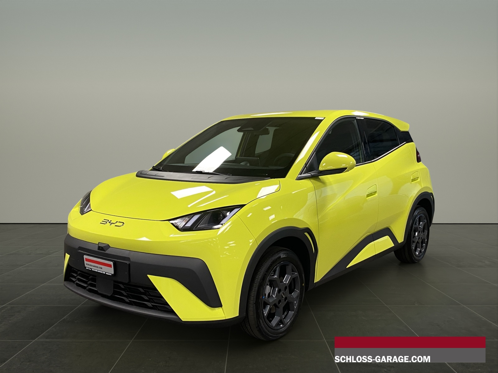 BYD Dolphin Surf Comfort-image-0