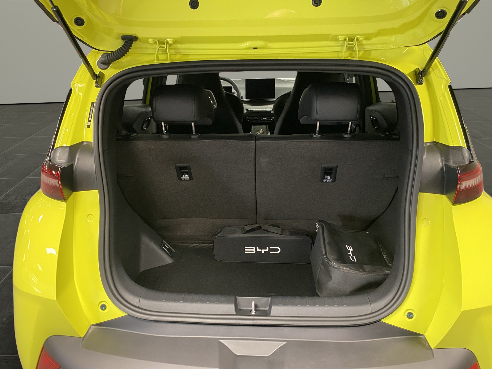 BYD Dolphin Surf Comfort-image-5