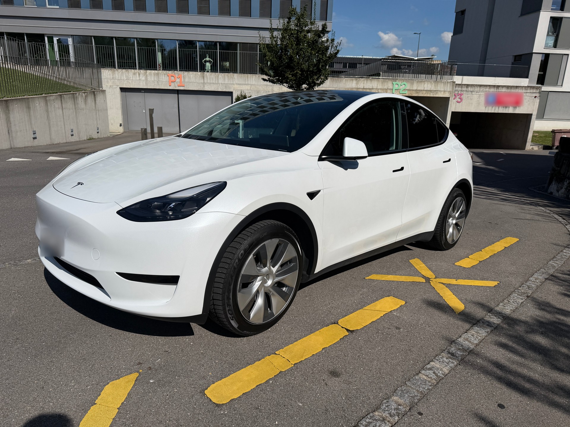 TESLA Basis-image-0