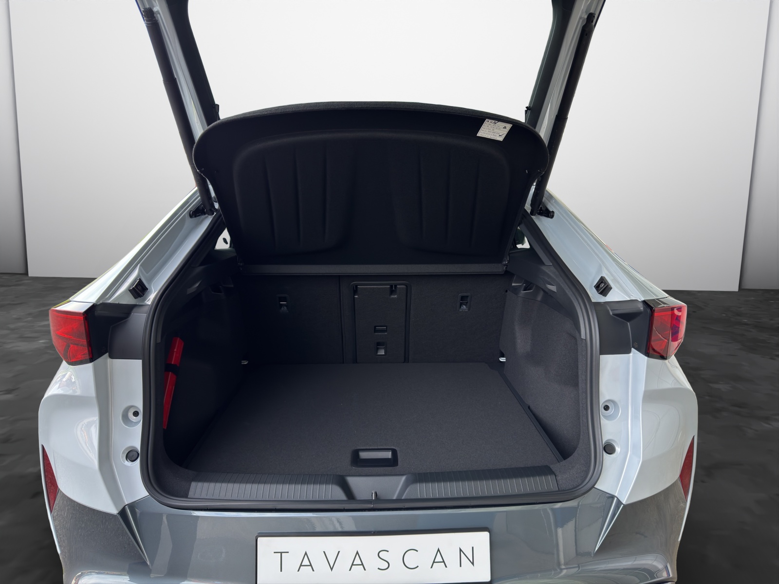 CUPRA Tavascan VZ Type 9-image-14