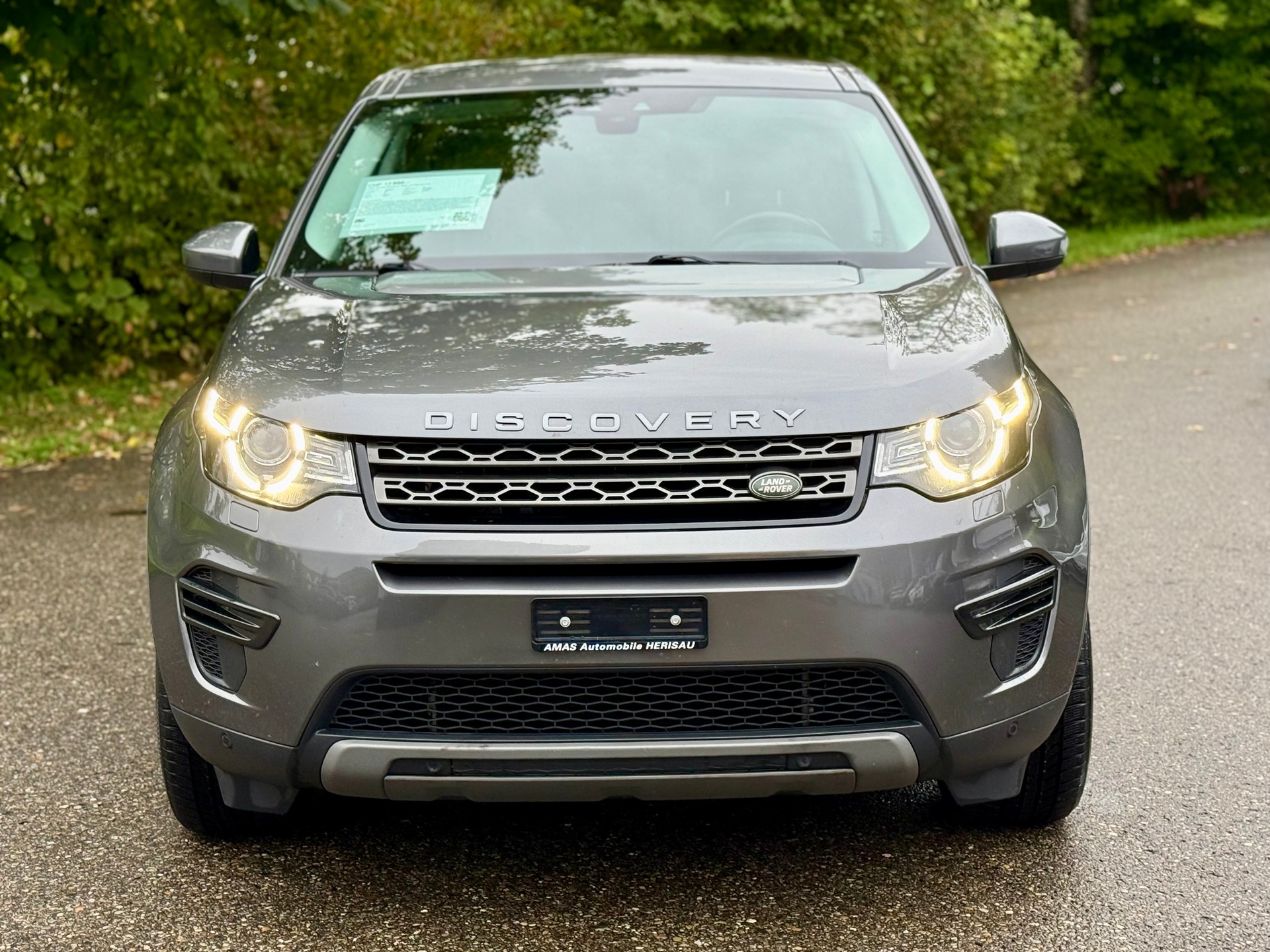 LAND ROVER Discovery Sport 2.0 TD4 SE AT9-image-10