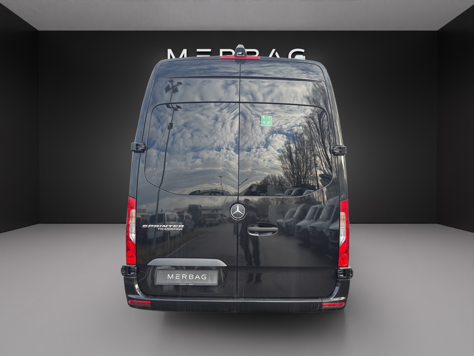 MERCEDES-BENZ Sprinter Tremonia Transfer 45-image-3