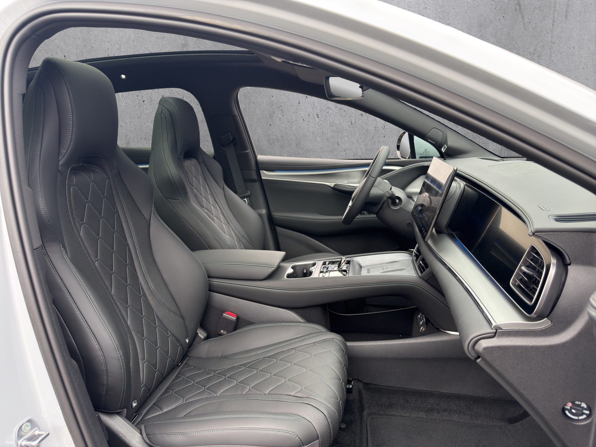 BYD Sealion 7 Excellence AWD-image-11