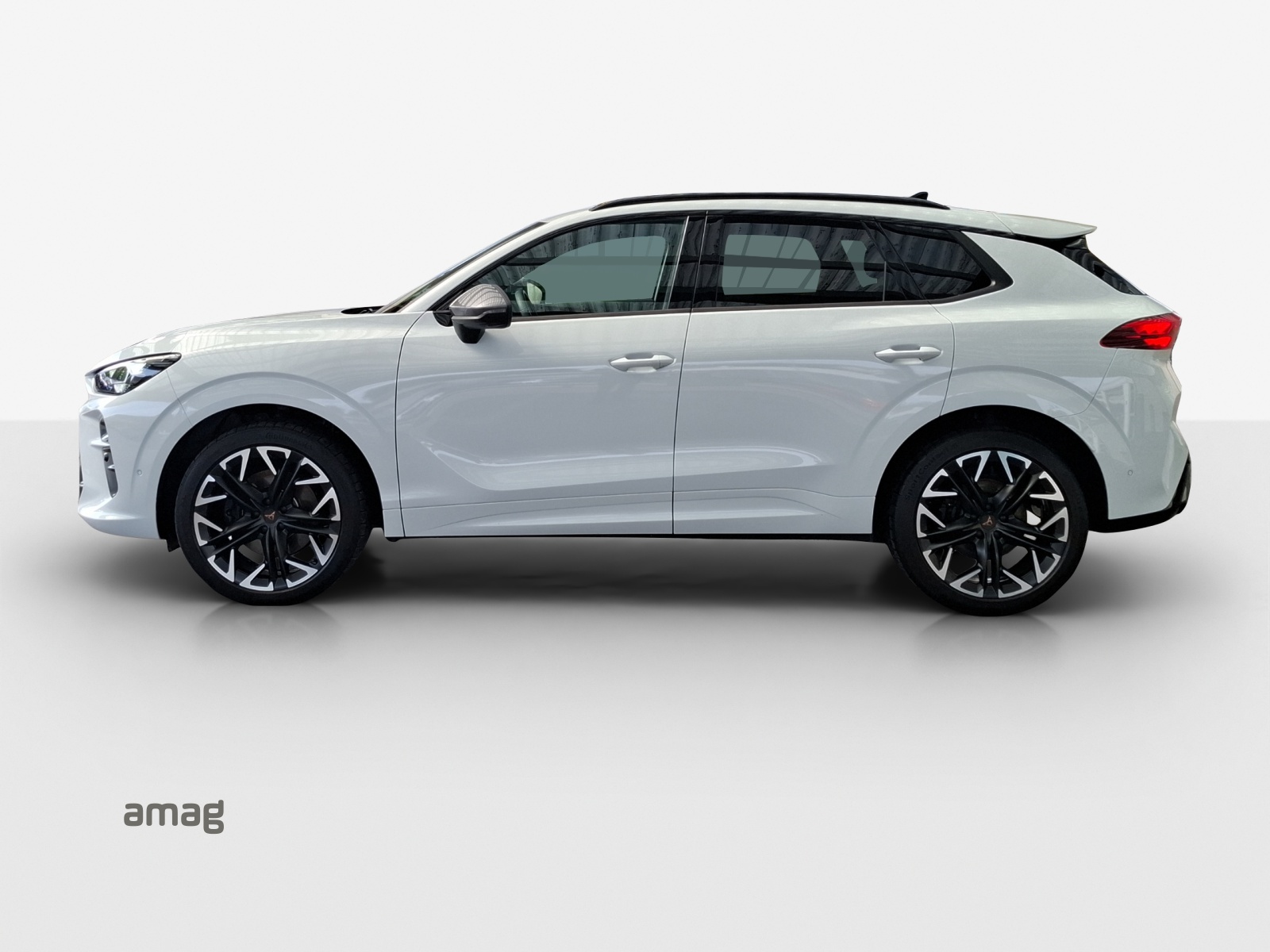 CUPRA Terramar 2.0 TSI DSG 4Drive VZ-image-1
