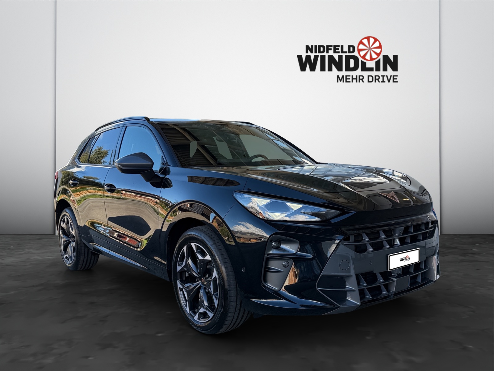 CUPRA Terramar 2.0 TSI VZ 4Drive DSG-image-0
