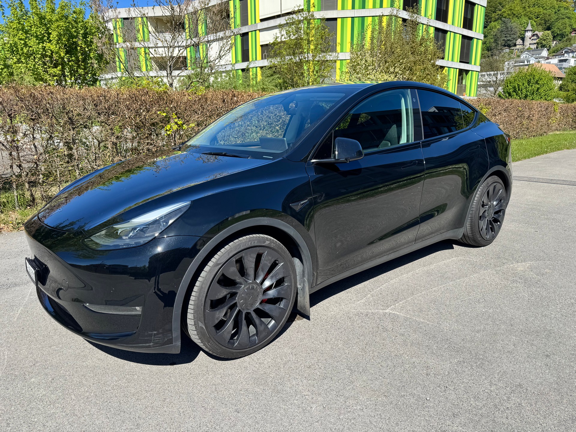 TESLA Model Y Performance-image-1