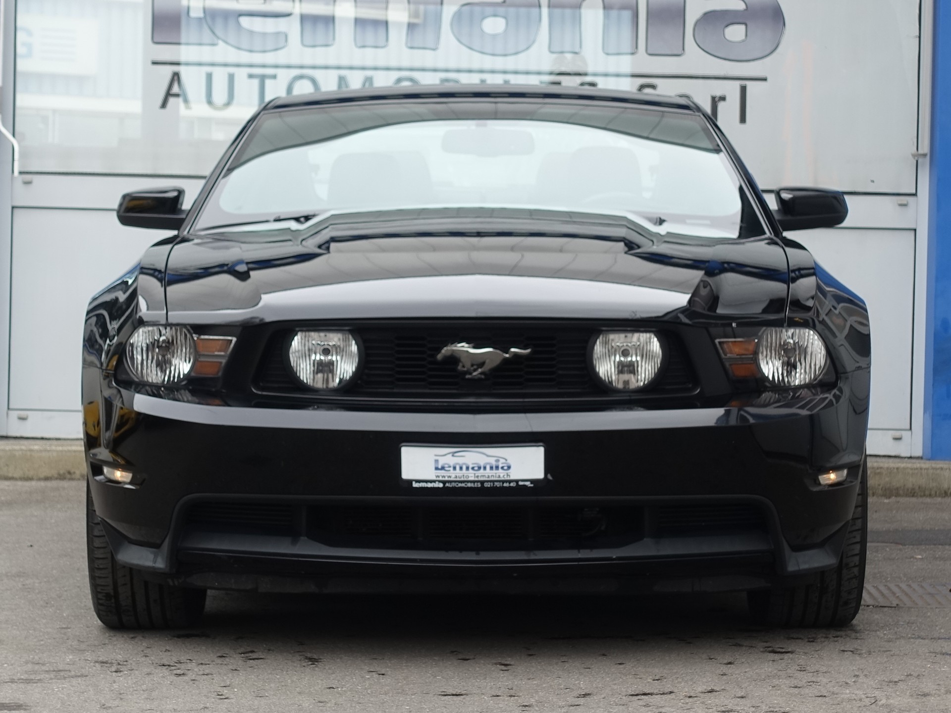 FORD GT 5.0 Shelby-image-2