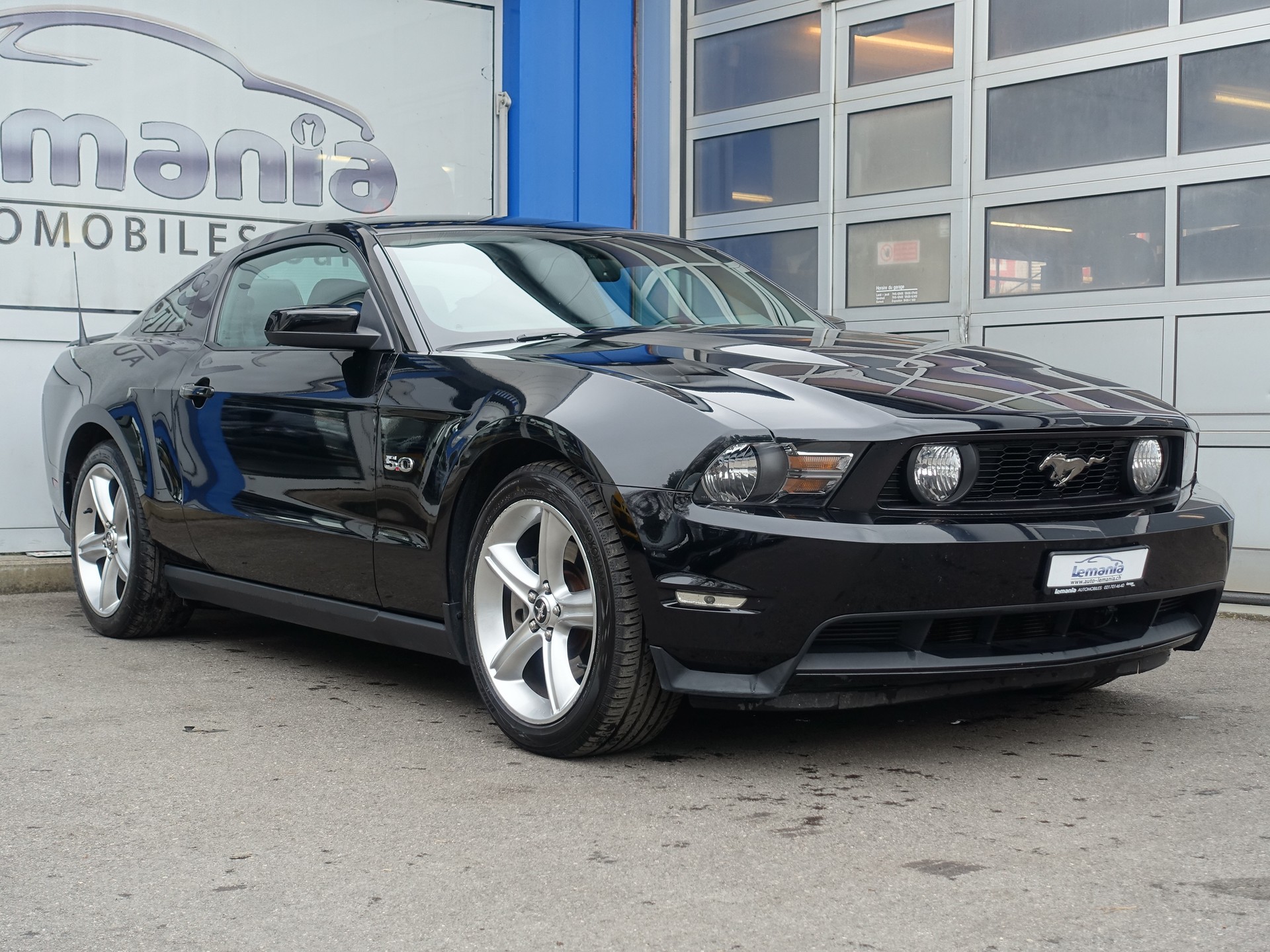 FORD GT 5.0 Shelby-image-0