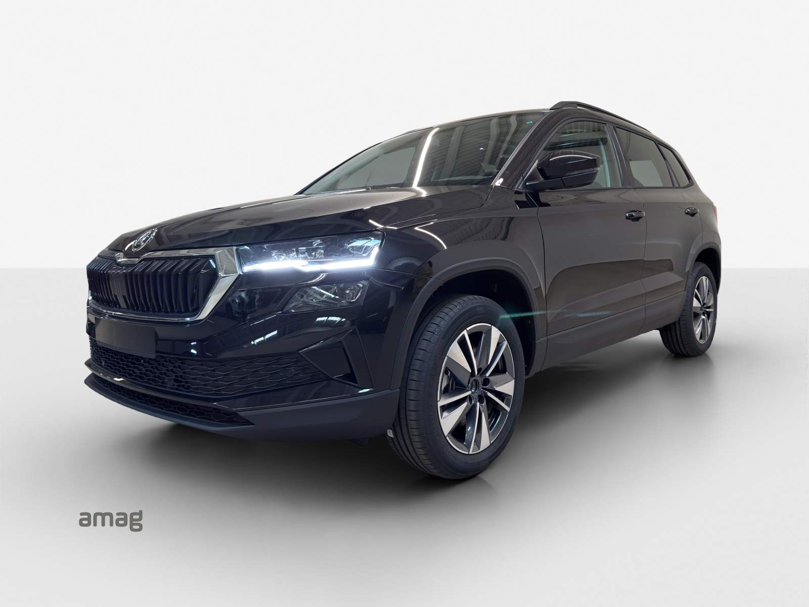 SKODA Karoq 1.5 TSI Dynamic DSG