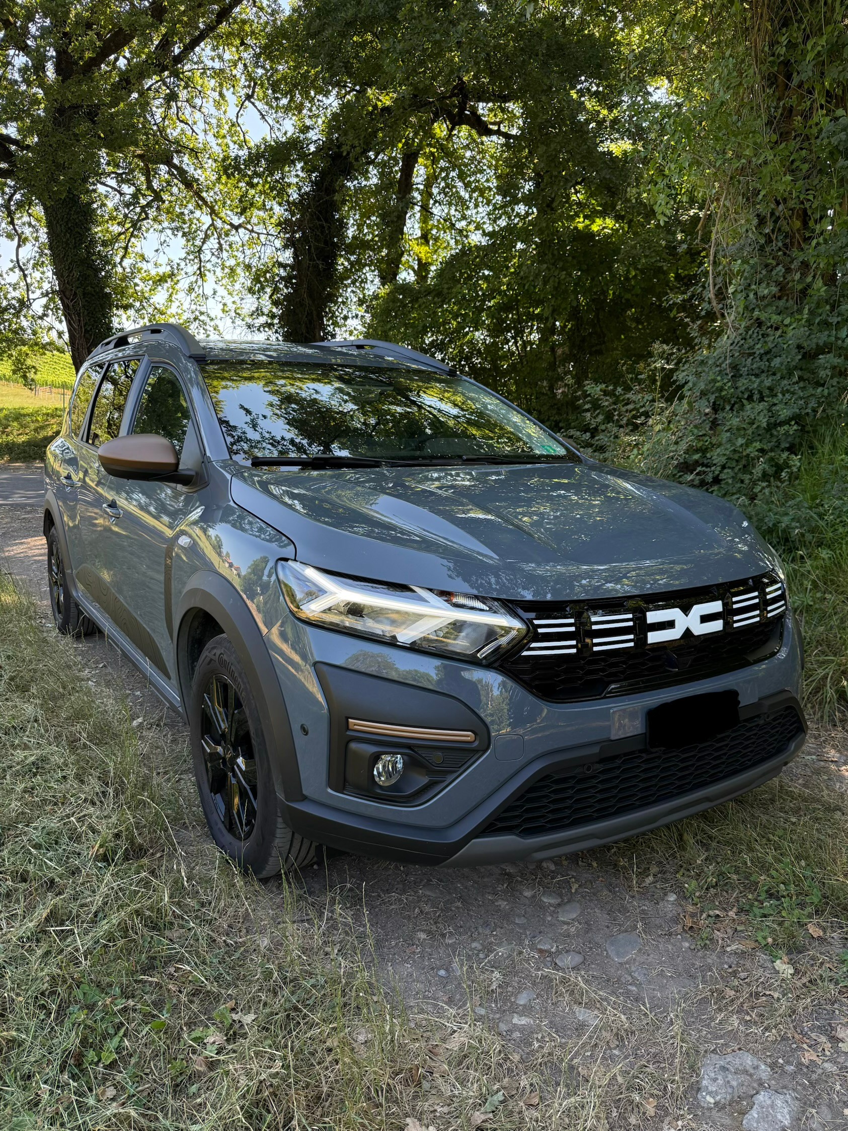 DACIA 1.6 Hybrid Extreme-image-0