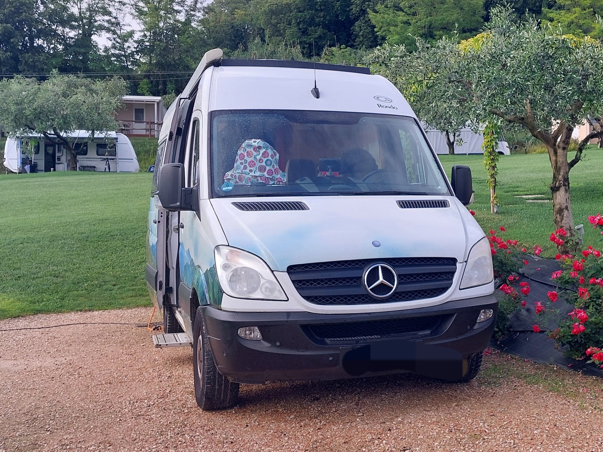MERCEDES-BENZ Rondo-image-1