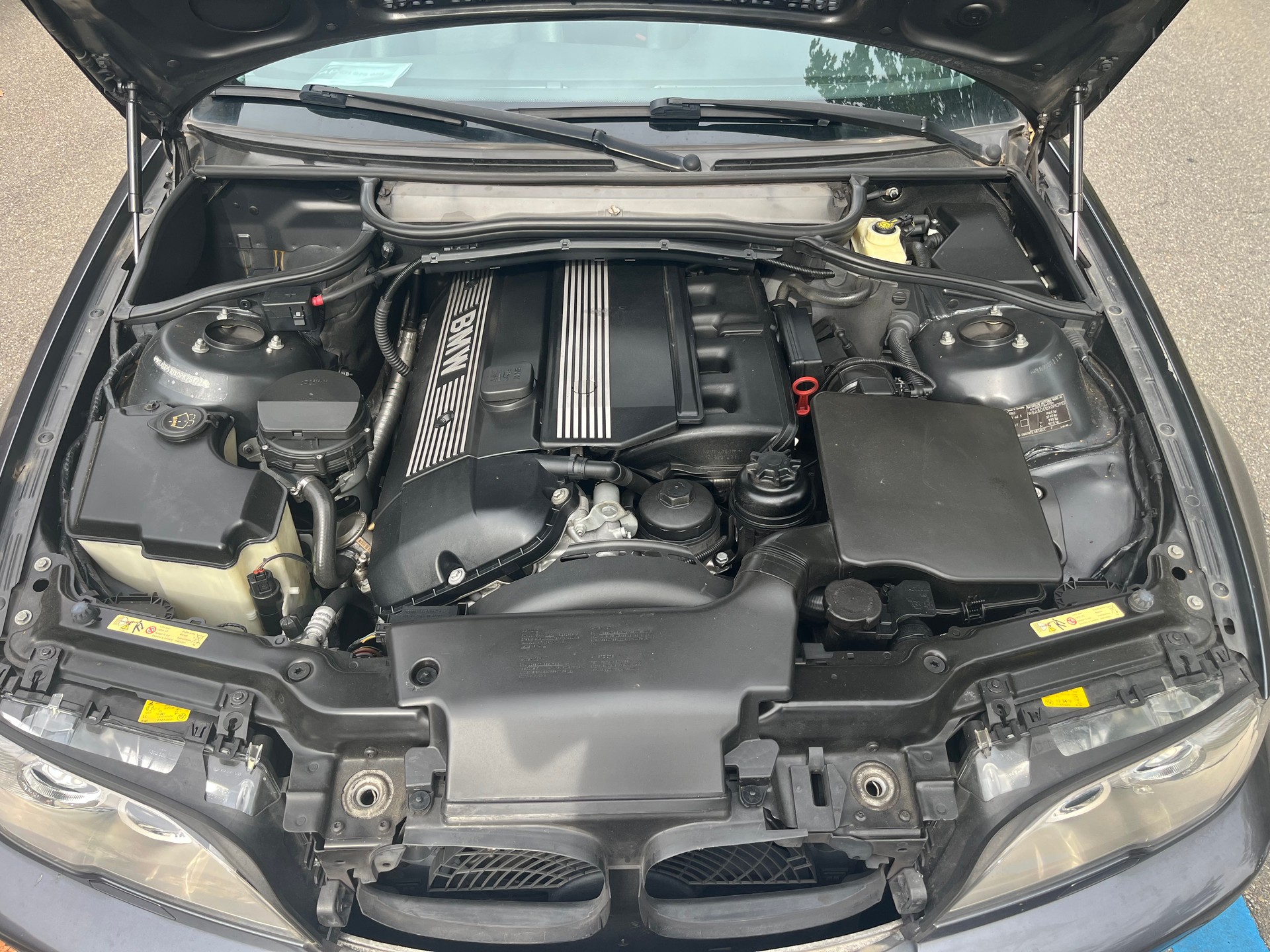 BMW BMW 330Ci Coupé (E46) - MFK / 149'000 km-image-5