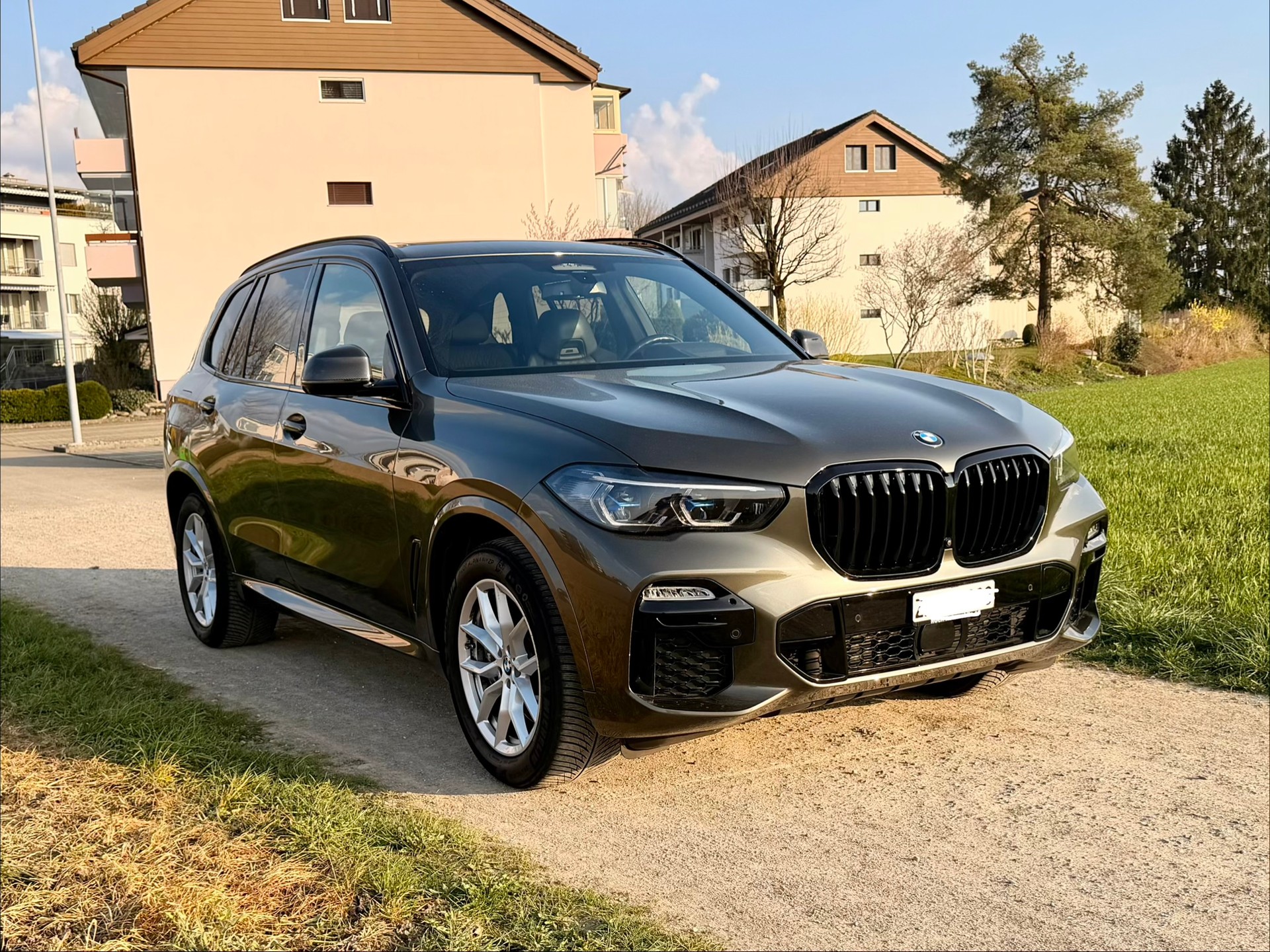 BMW X5 xDrive 48V 30d M Sport Steptronic-image-5