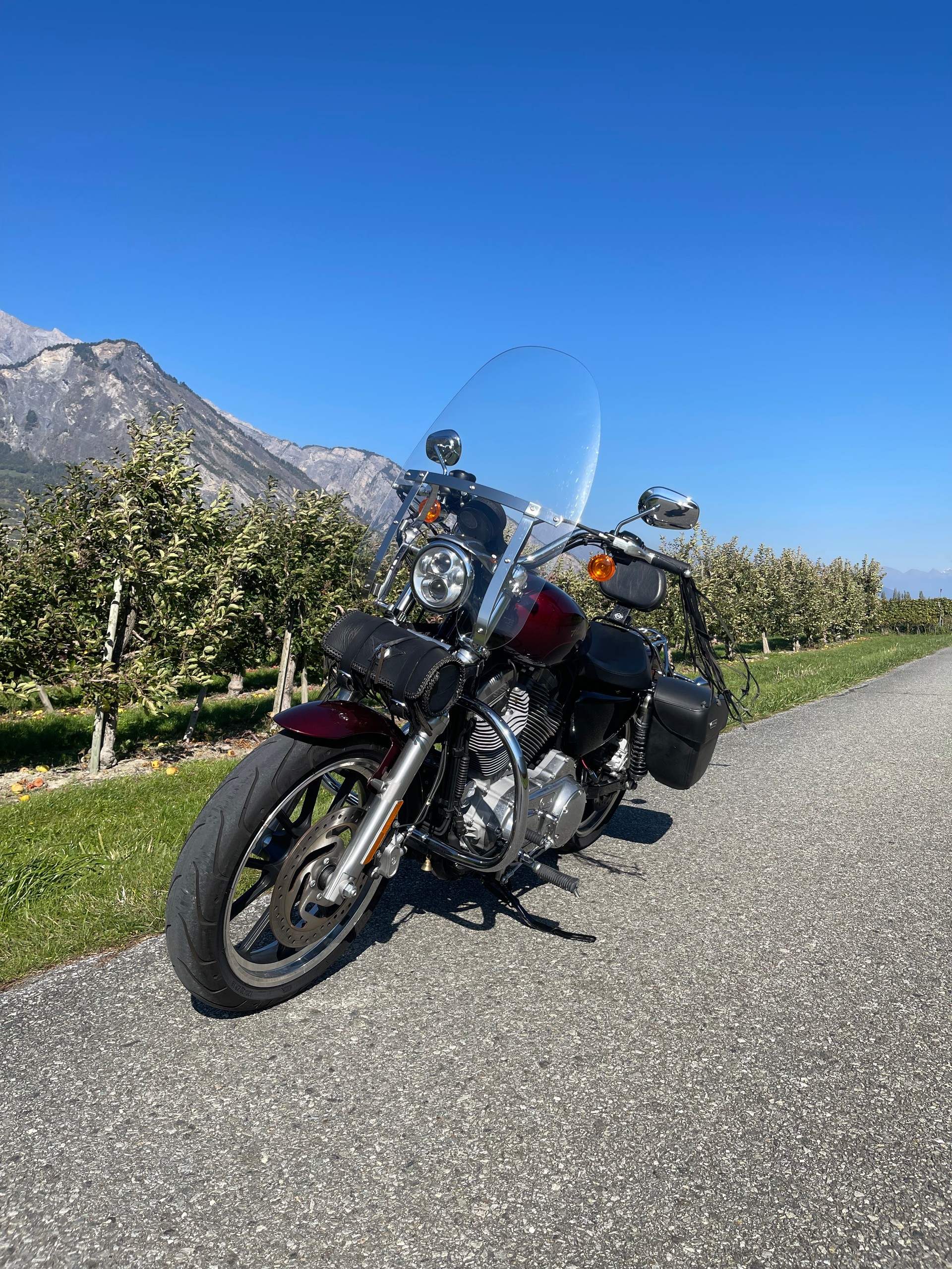 HARLEY-DAVIDSON XL 883 L Sportster Super Low ABS-image-2