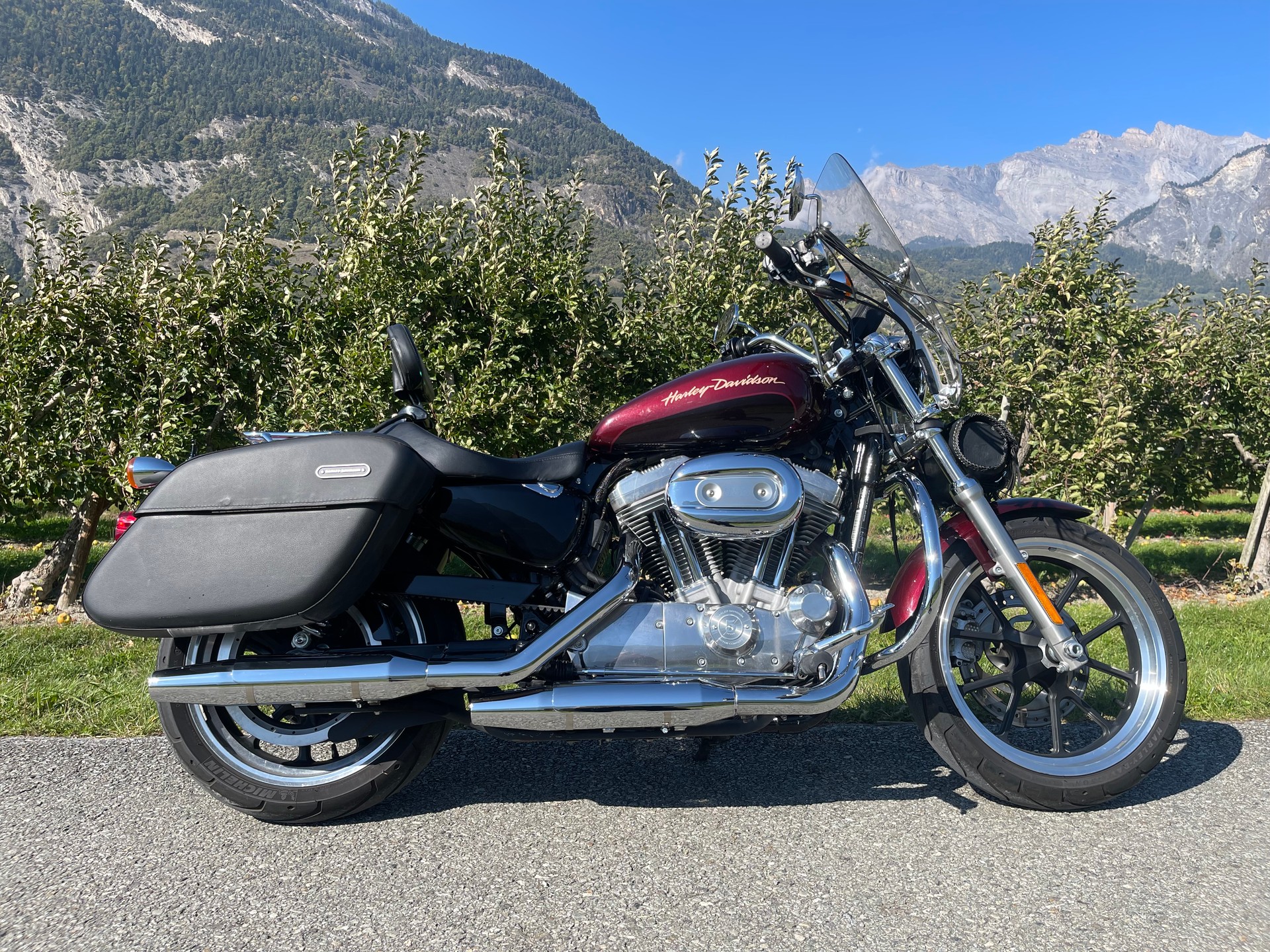 HARLEY-DAVIDSON XL 883 L Sportster Super Low ABS-image-1