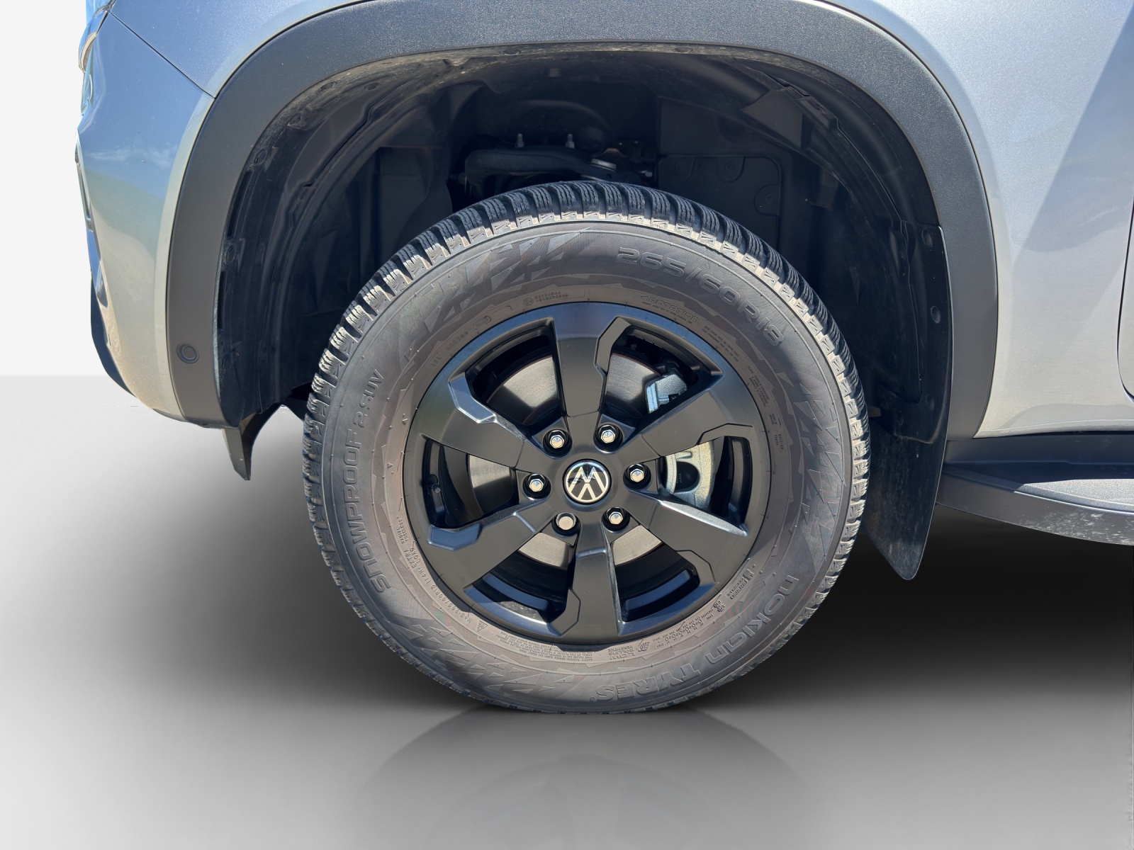 VW Amarok 3.0TDI PanAmericana Winter 1-image-14