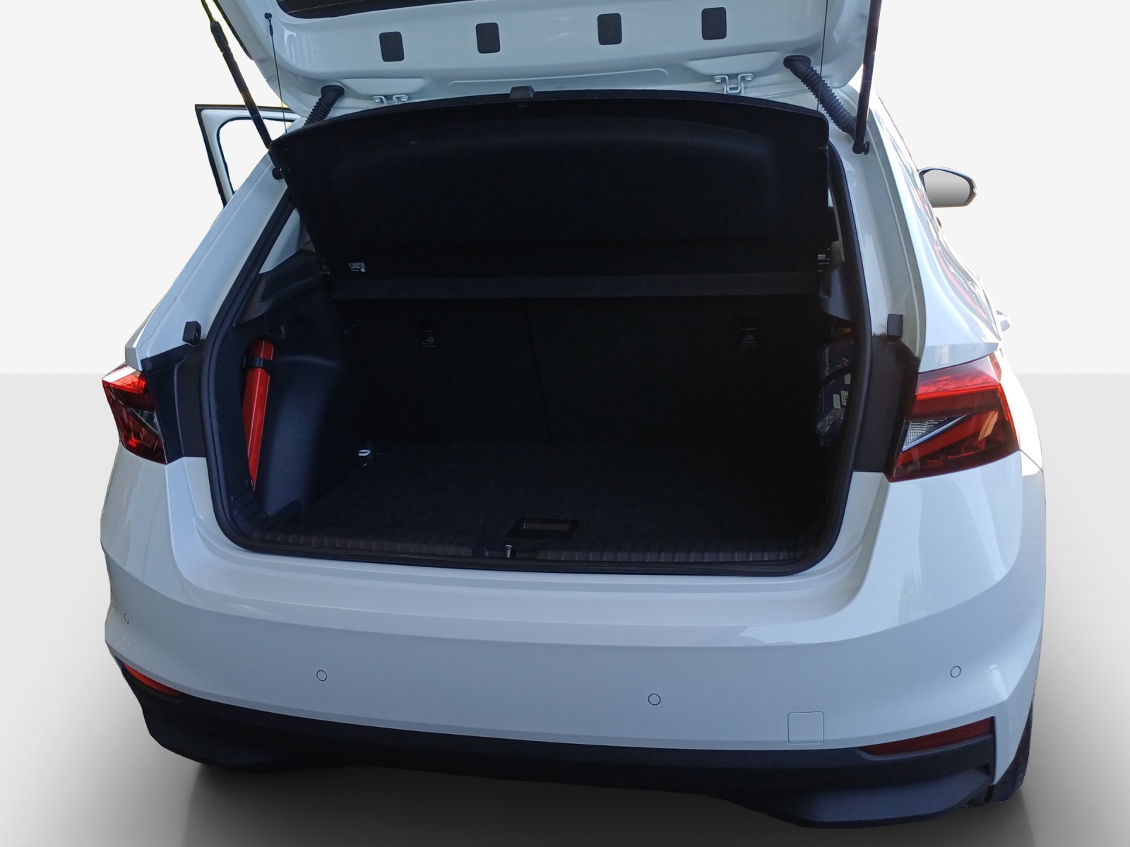 SKODA Fabia 1.0 TSI Dynamic DSG-image-12