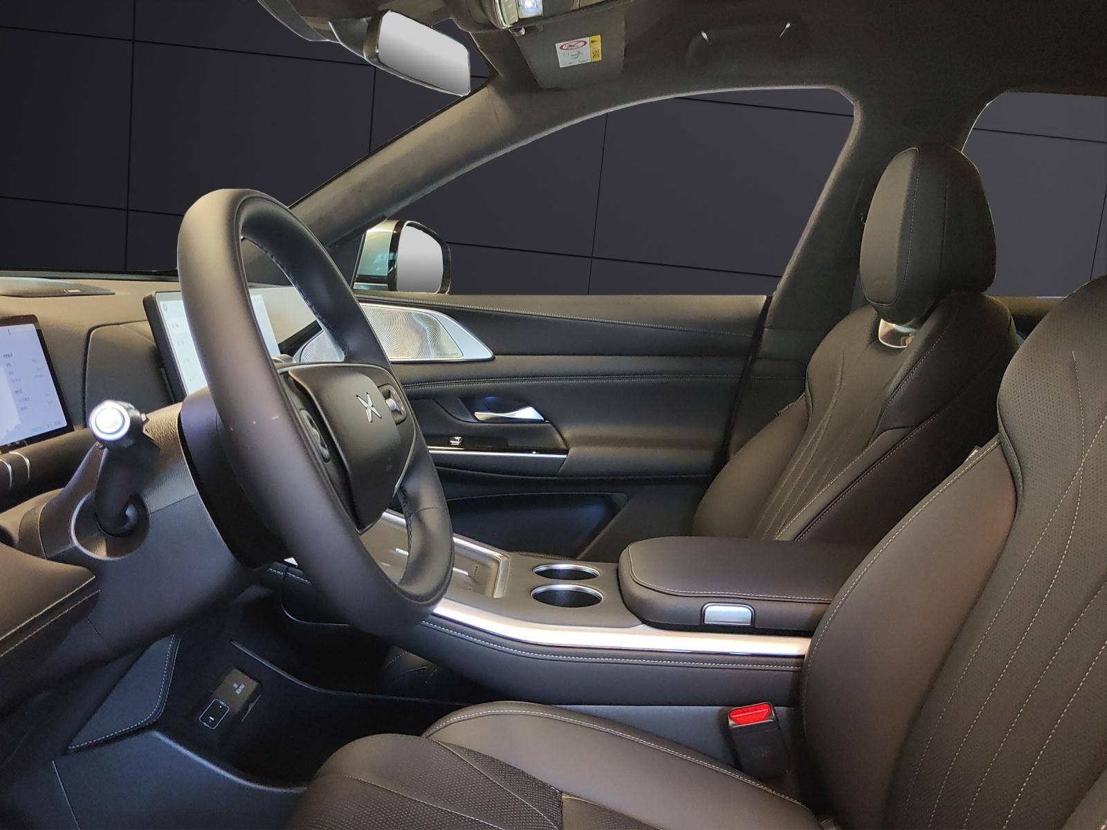 XPENG G9 Performance AWD-image-11