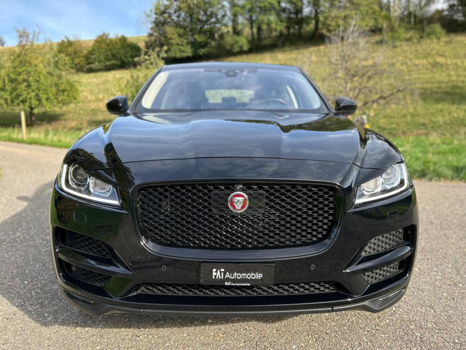 JAGUAR F-Pace 25t 2.0 R-Sport AWD Automatik-image-7