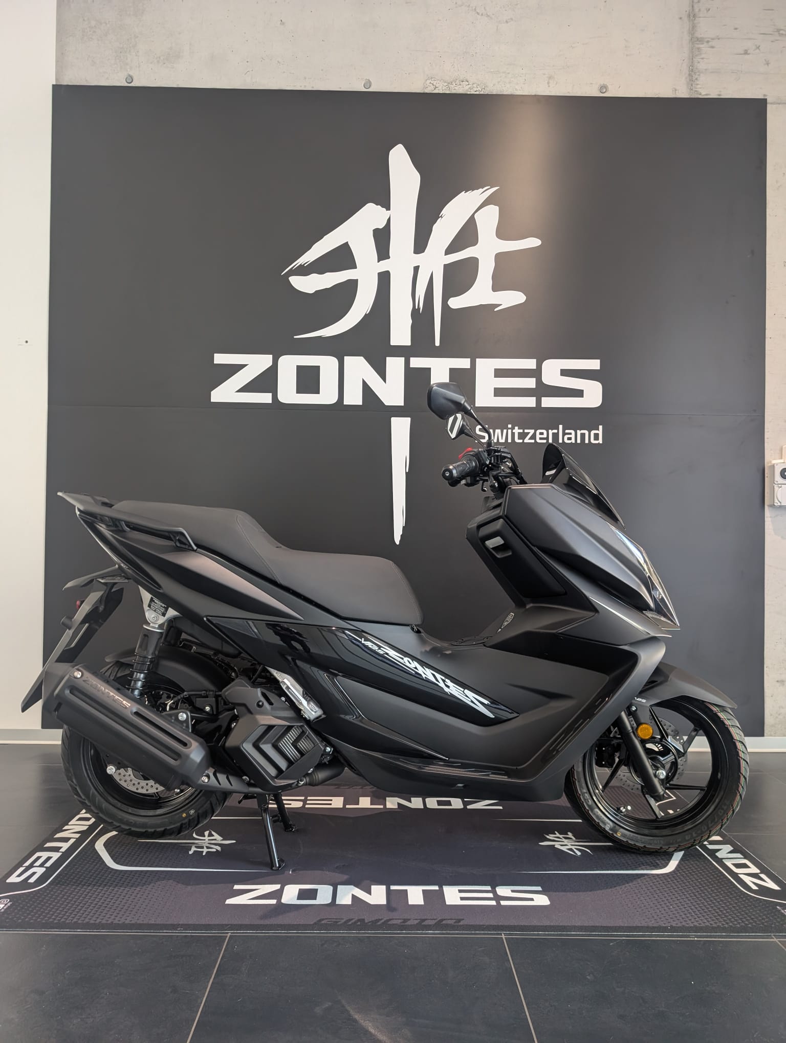 ZONTES V