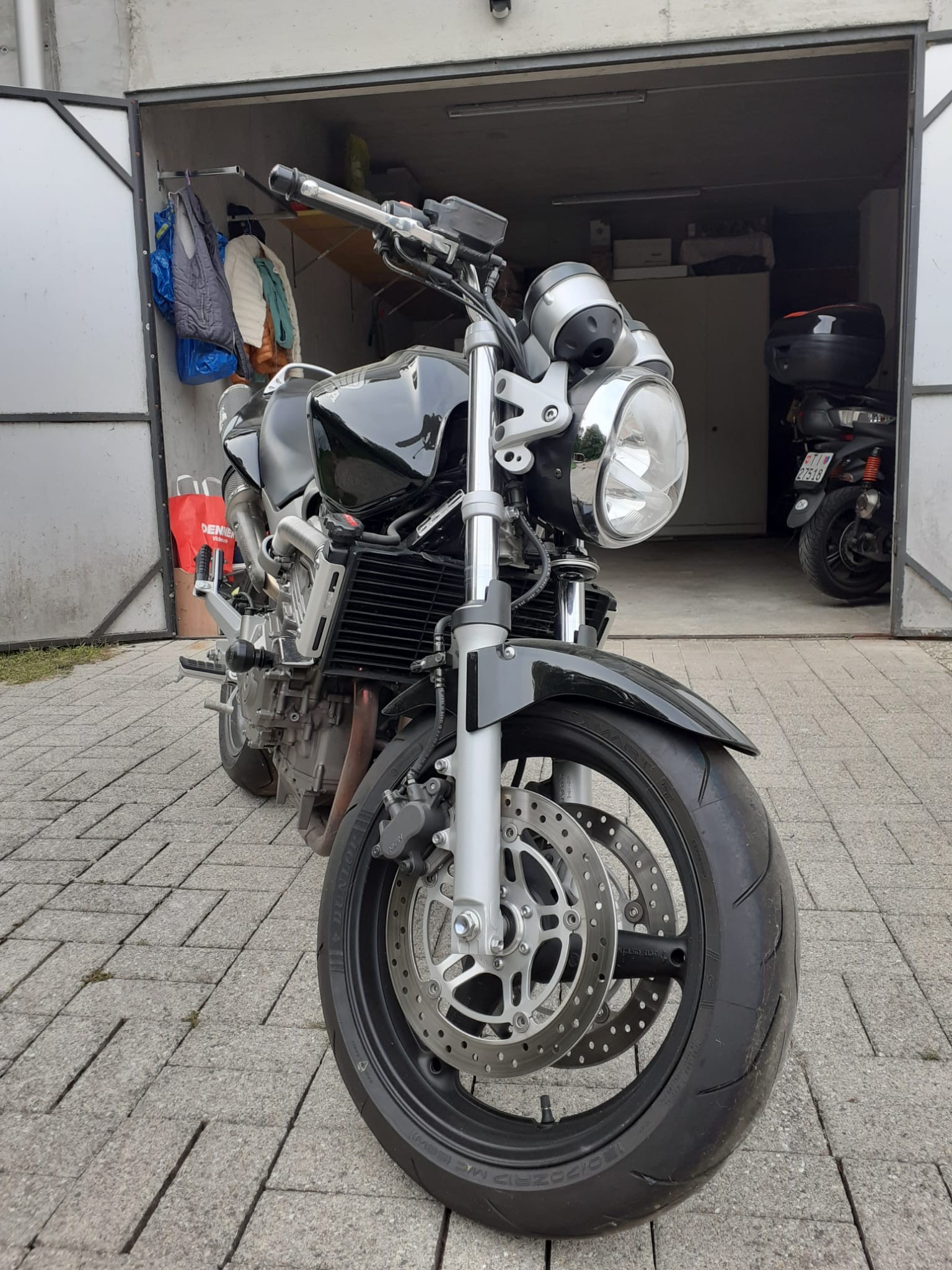 HONDA HORNET-image-5