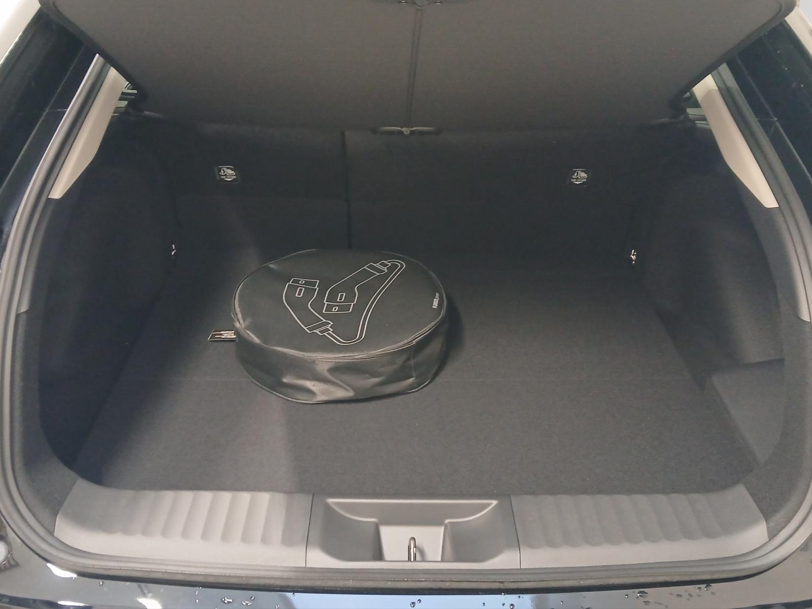TOYOTA Prius 2.0 Plug-In-Hybrid Premium-image-16