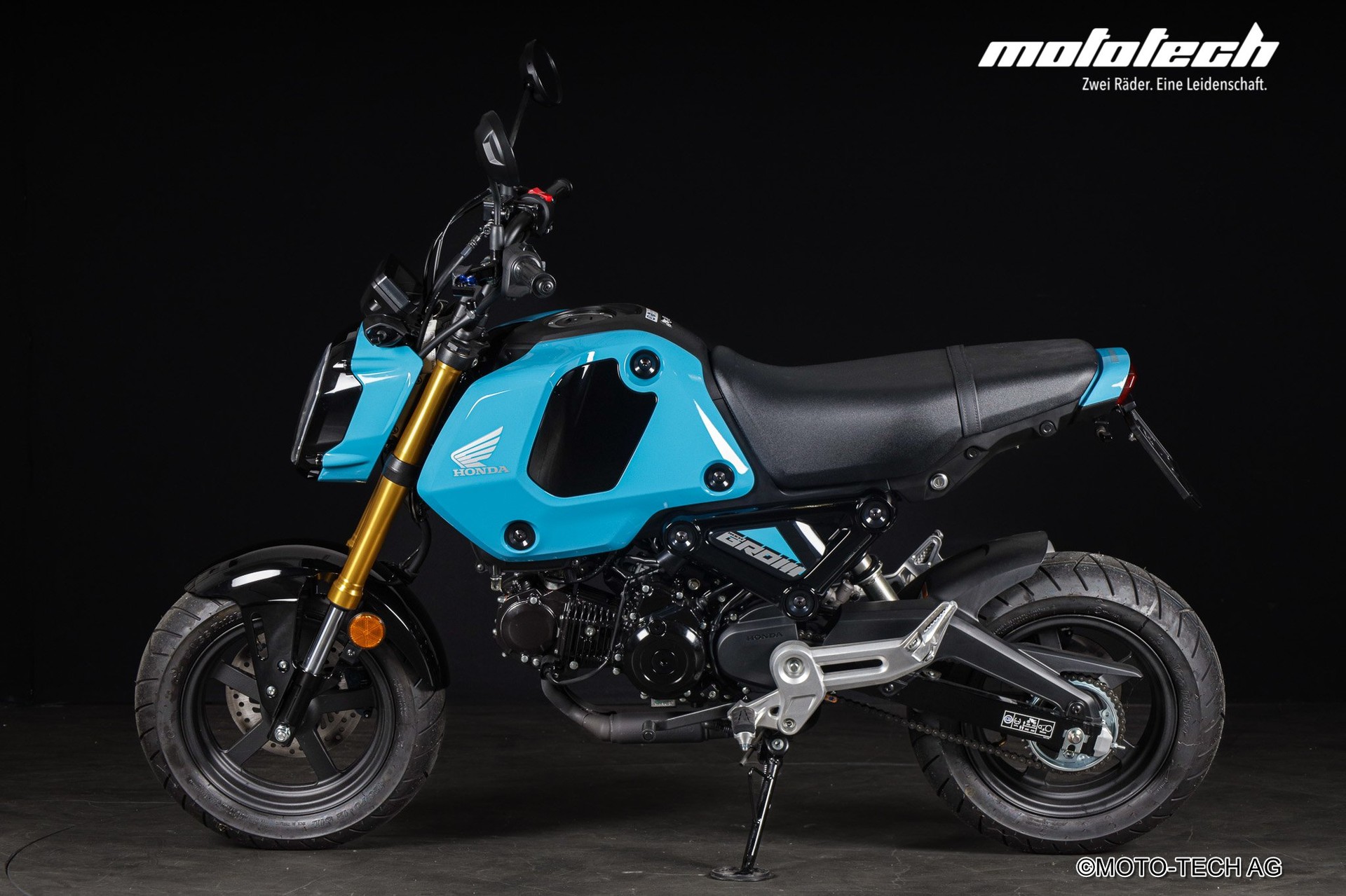 HONDA MSX 125 GROM-image-4
