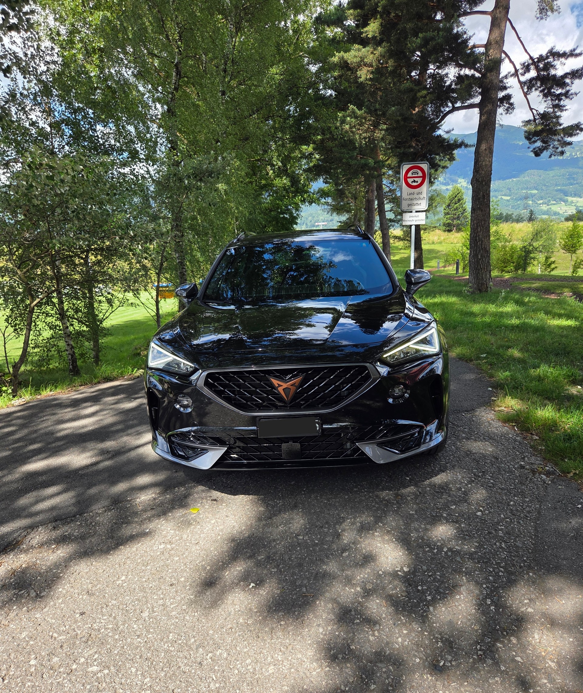 CUPRA 1.4 eHybrid DSG-image-0