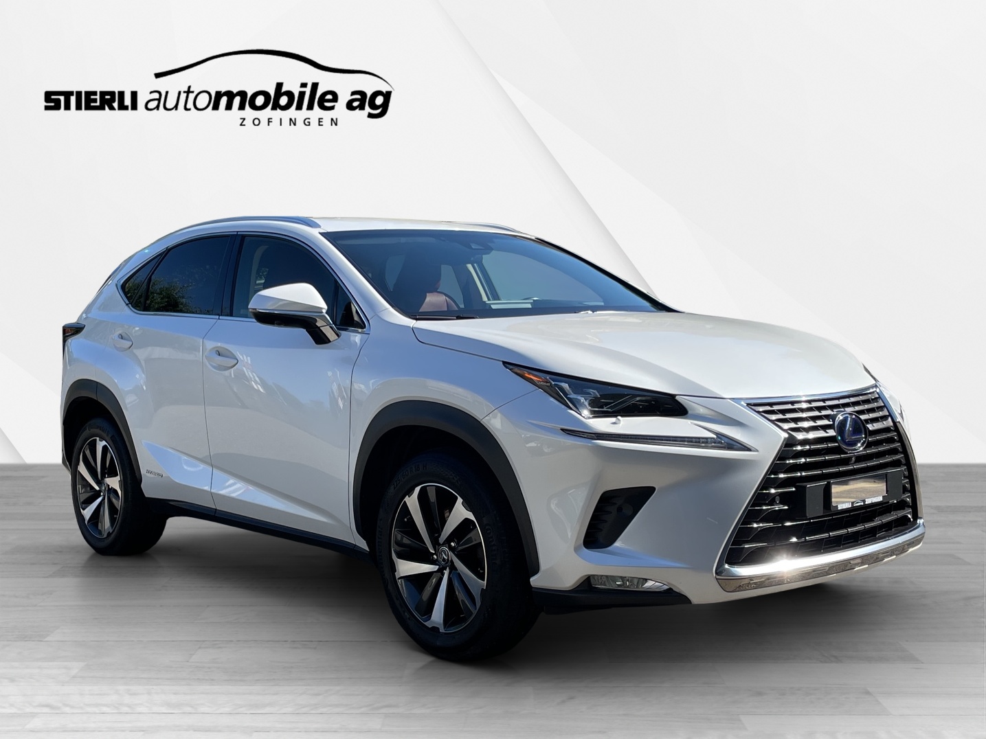 LEXUS NX 300h Excellence-showroom-element-2