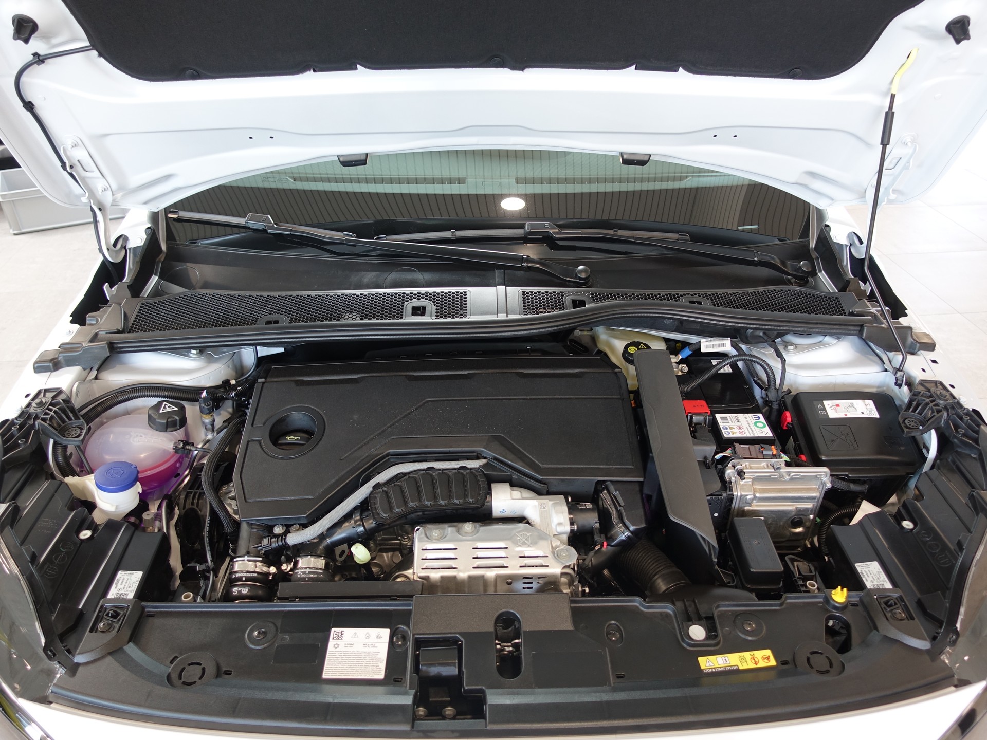 OPEL Corsa 1.2 MHEV Viva 8 Jahre Garantie-image-6