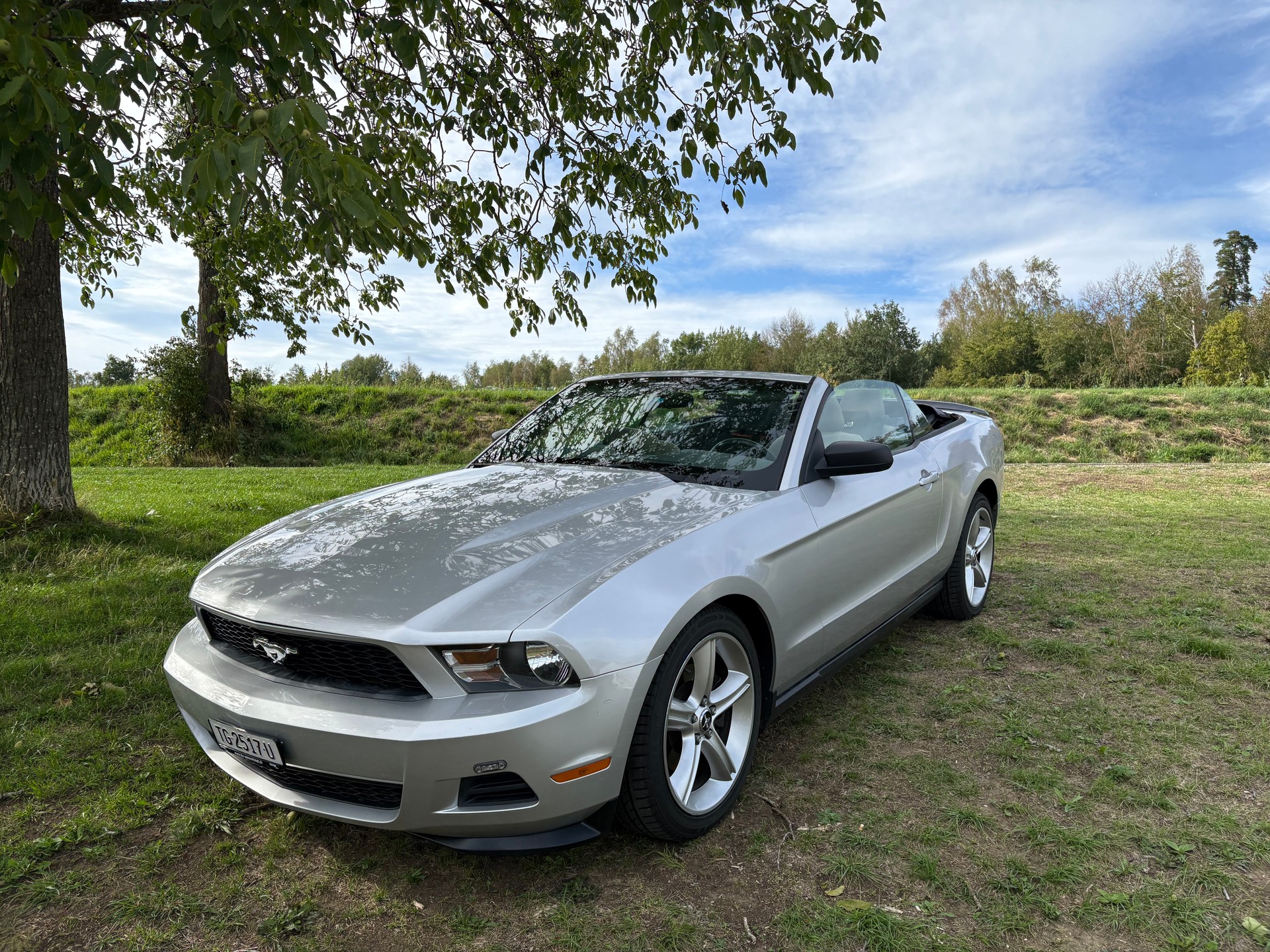 FORD MUSTANG