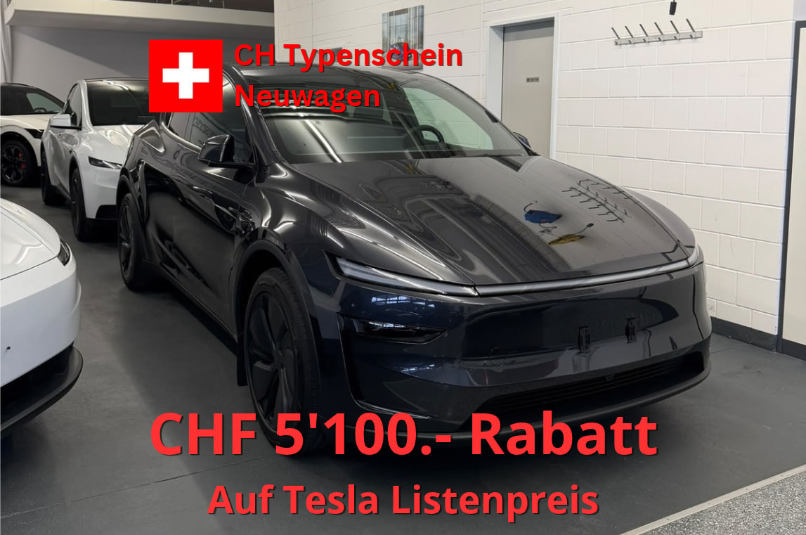 TESLA Model Y Long Range Premium AWD, CH Typenschein, Stealth Grey-image-0