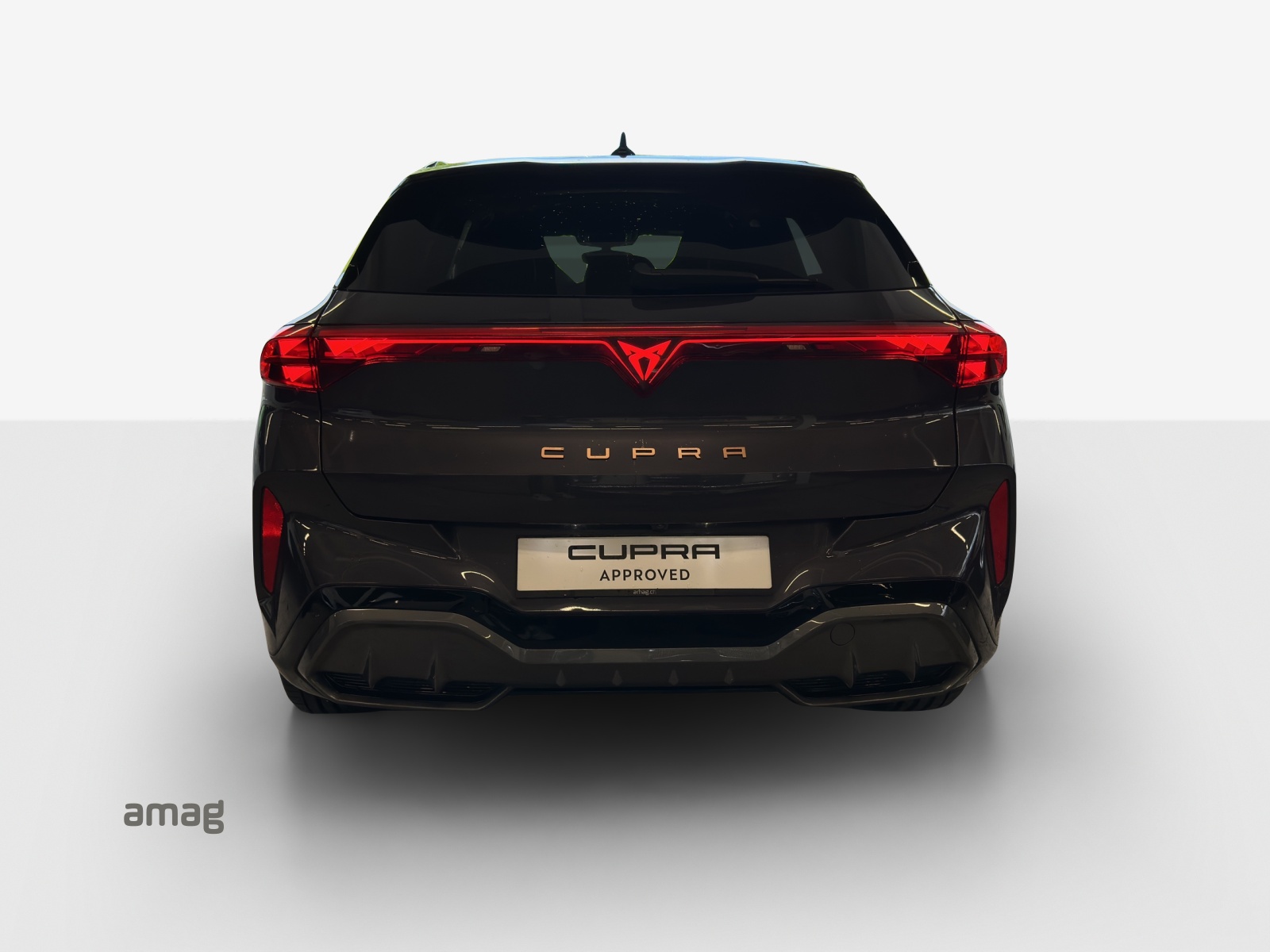 CUPRA Terramar 2.0 TSI DSG 4Drive VZ-image-3