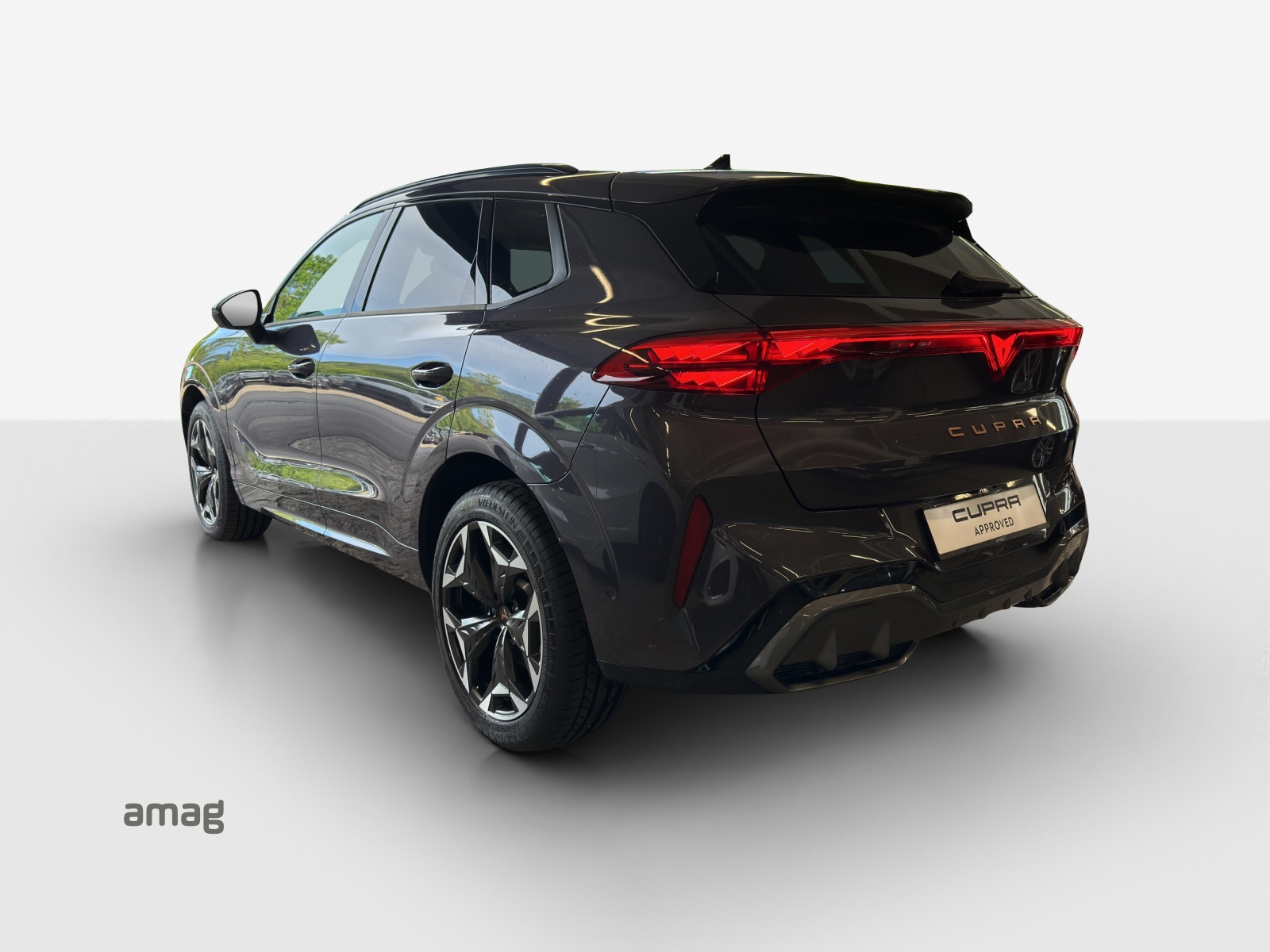 CUPRA Terramar 2.0 TSI DSG 4Drive VZ-image-2