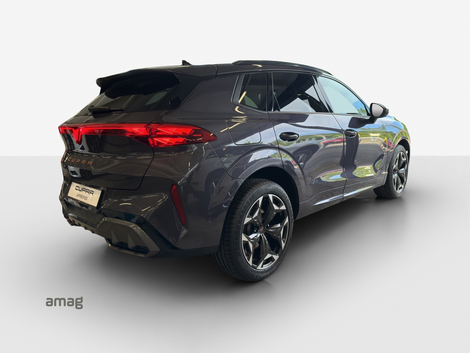 CUPRA Terramar 2.0 TSI DSG 4Drive VZ-image-4