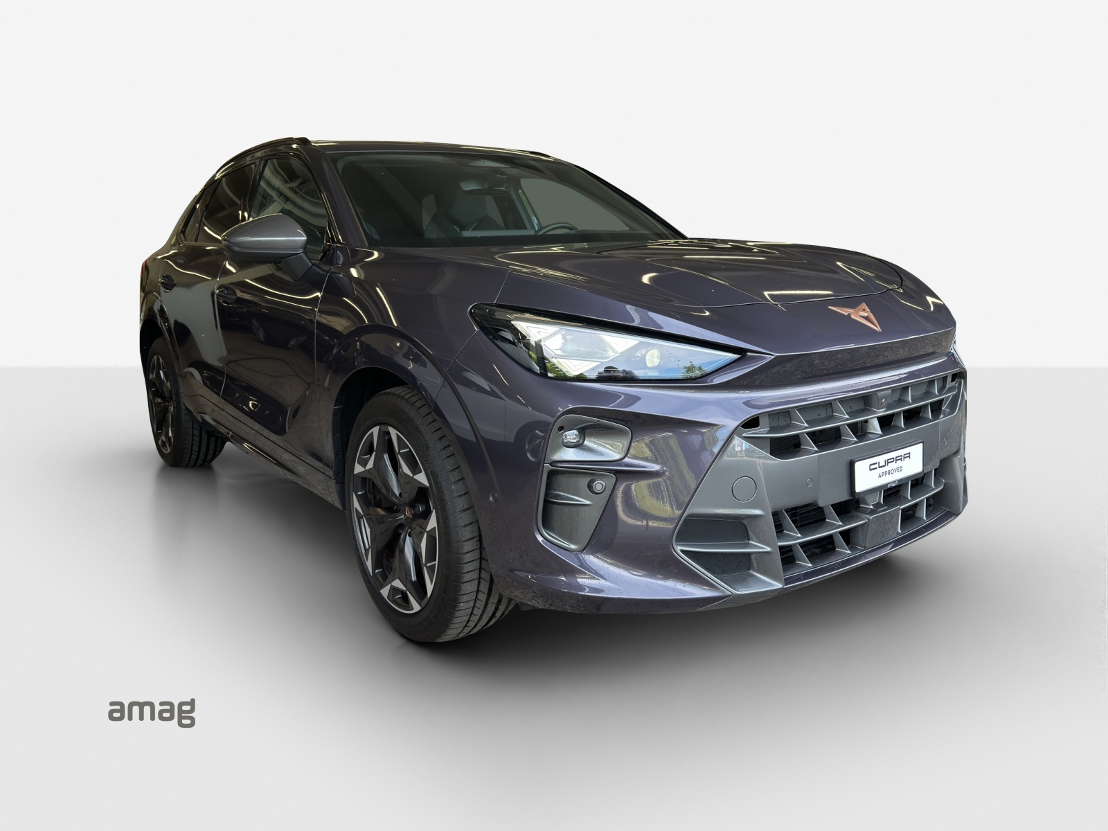 CUPRA Terramar 2.0 TSI DSG 4Drive VZ-image-5