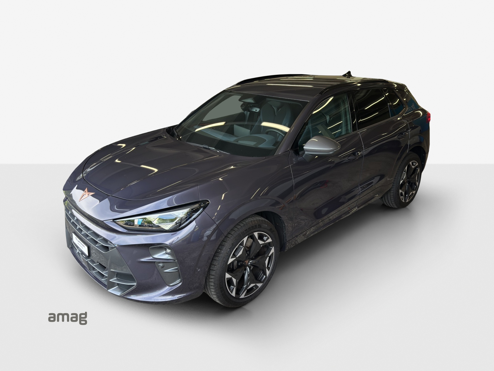 CUPRA Terramar 2.0 TSI DSG 4Drive VZ-image-14