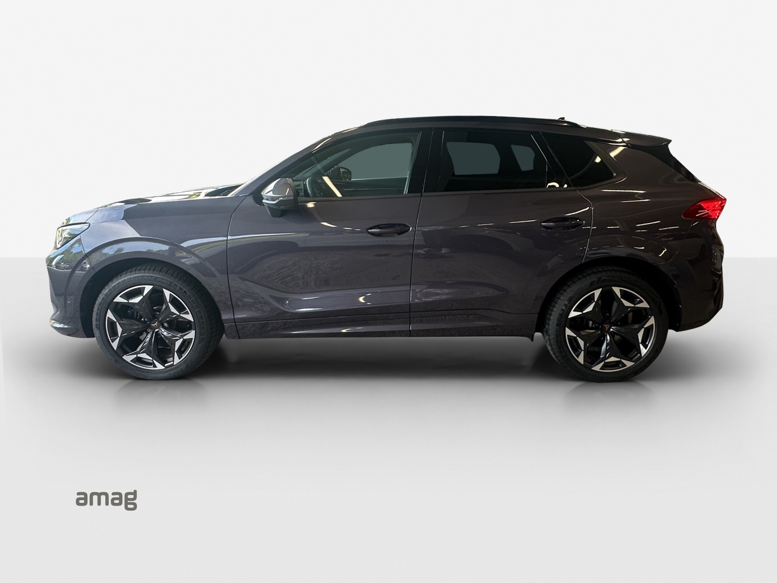 CUPRA Terramar 2.0 TSI DSG 4Drive VZ-image-1