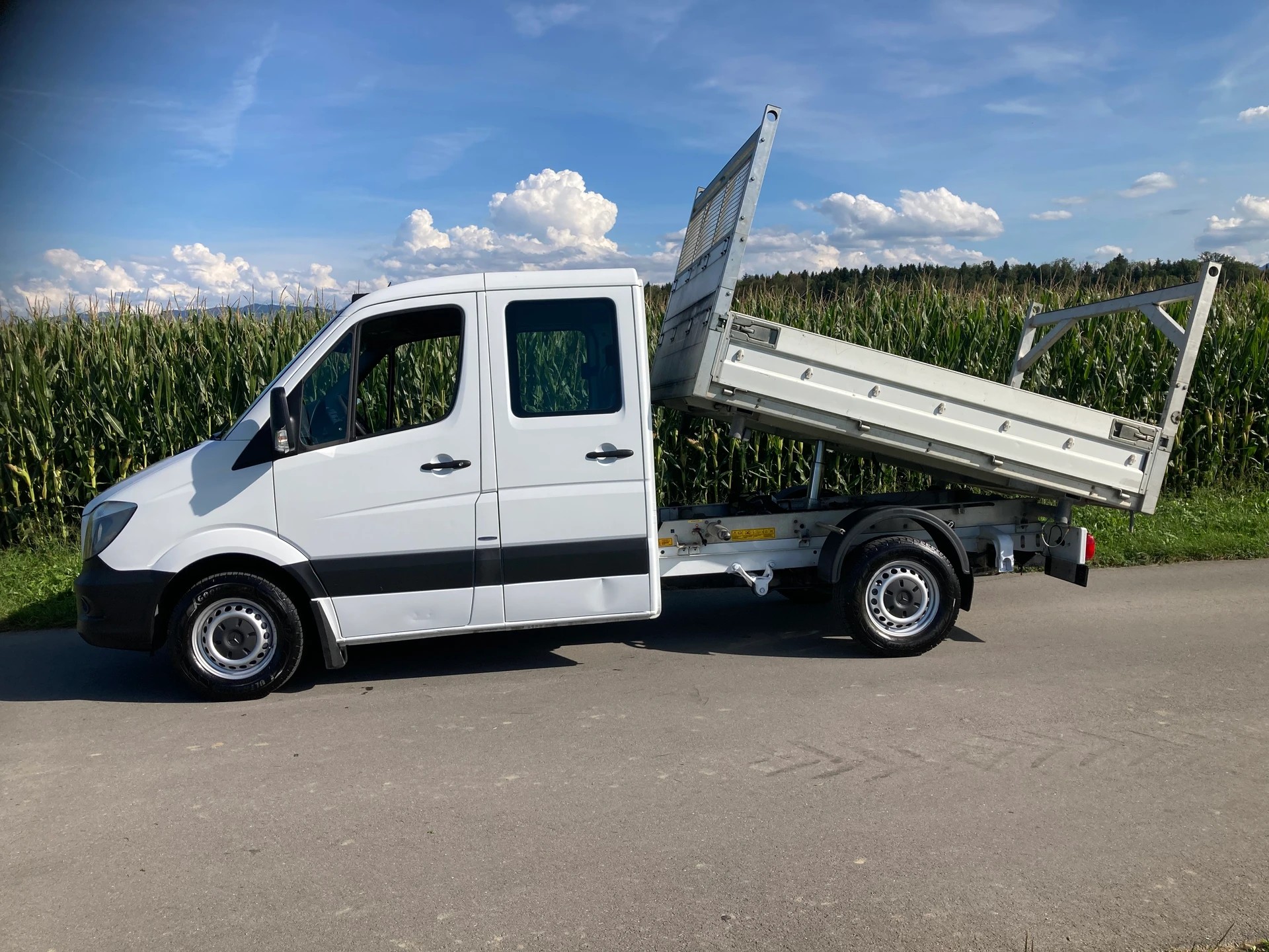 MERCEDES-BENZ Sprinter 313 CDI Kipper mit Anhängerkupplung 3.5t-image-0
