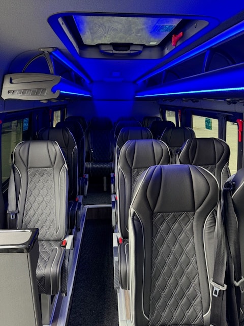 MERCEDES-BENZ Sprinter 519 bus 17 places-image-5